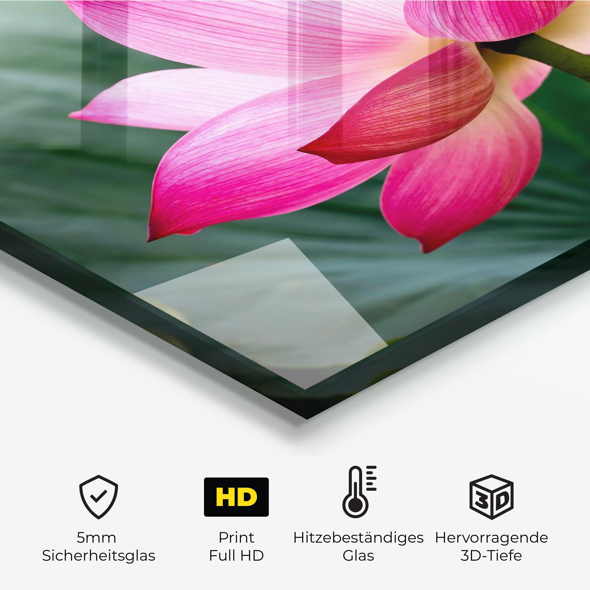 Küchenrückwand Glas Beautiful Pink Exotic mockup 2