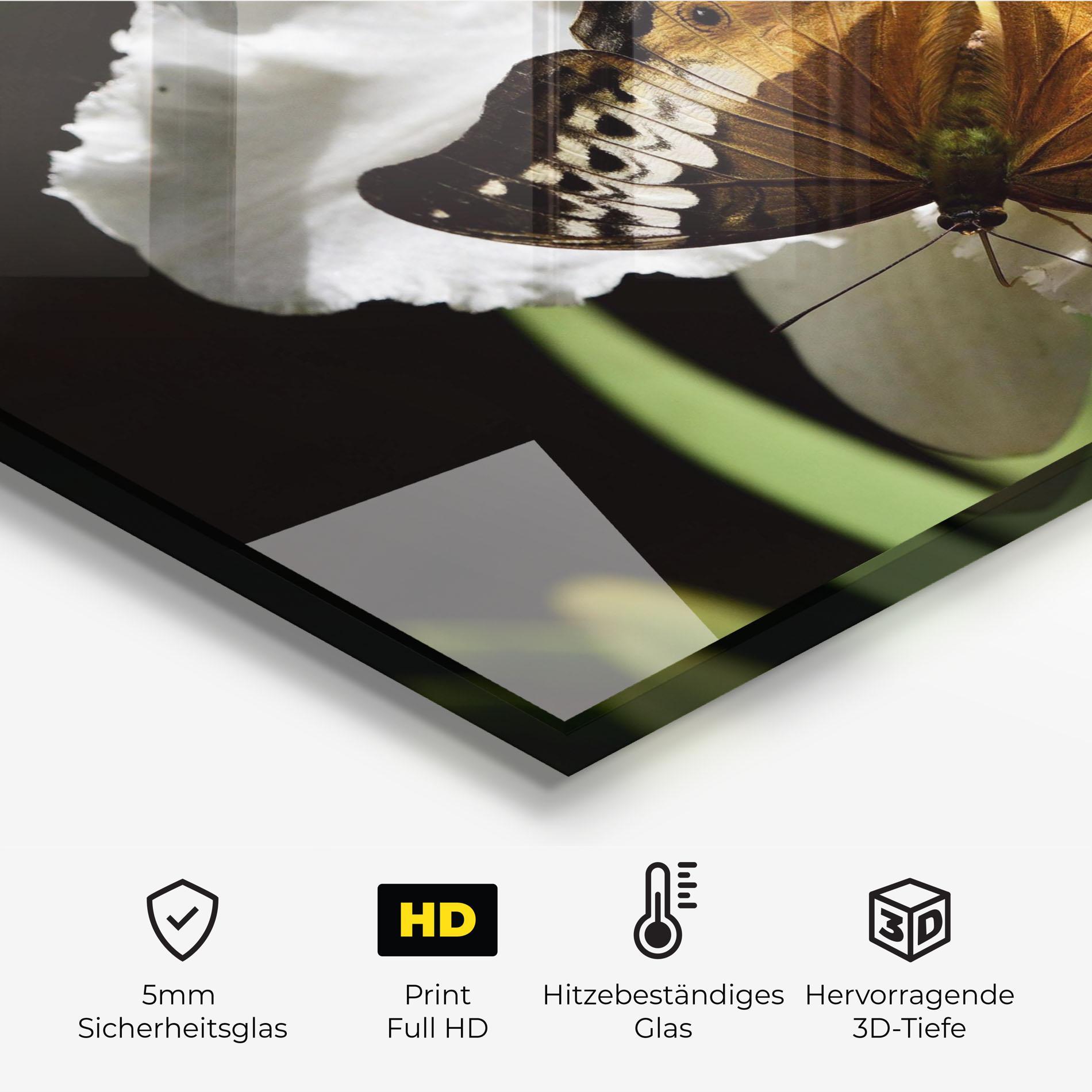Küchenrückwand Glas Butterfly Exotic Plant mockup 2