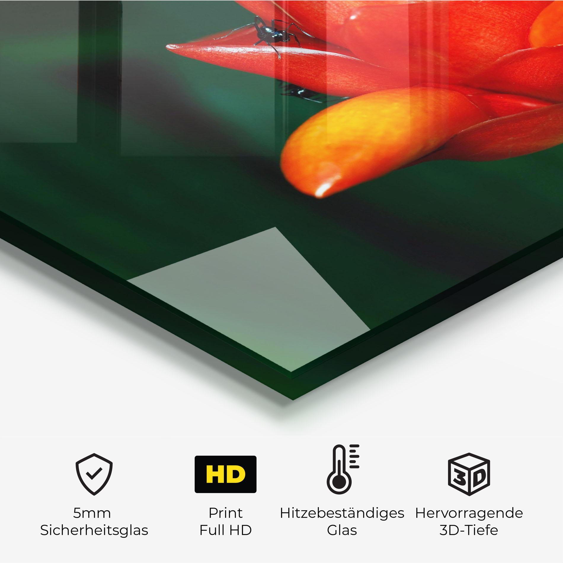 Küchenrückwand Glas Cool Orange Exotic mockup 2