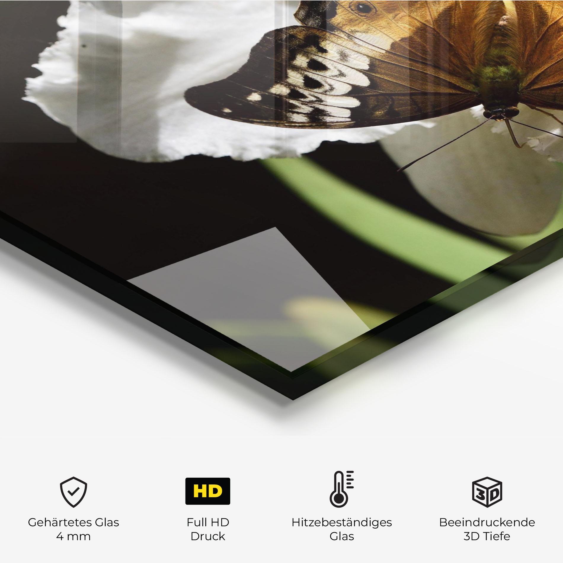 Küchenrückwand Glas Butterfly Exotic Plant mockup 2