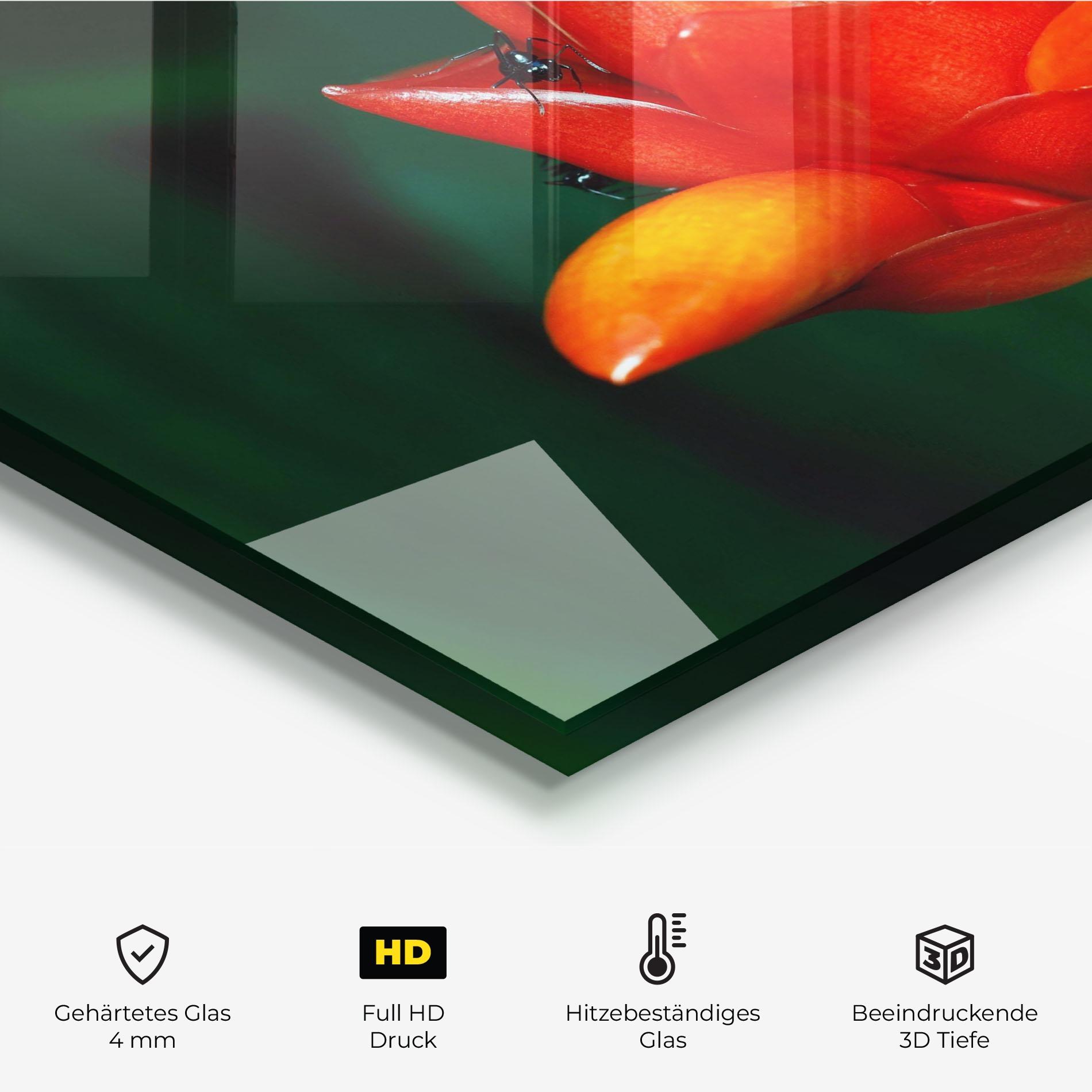 Küchenrückwand Glas Cool Orange Exotic mockup 2