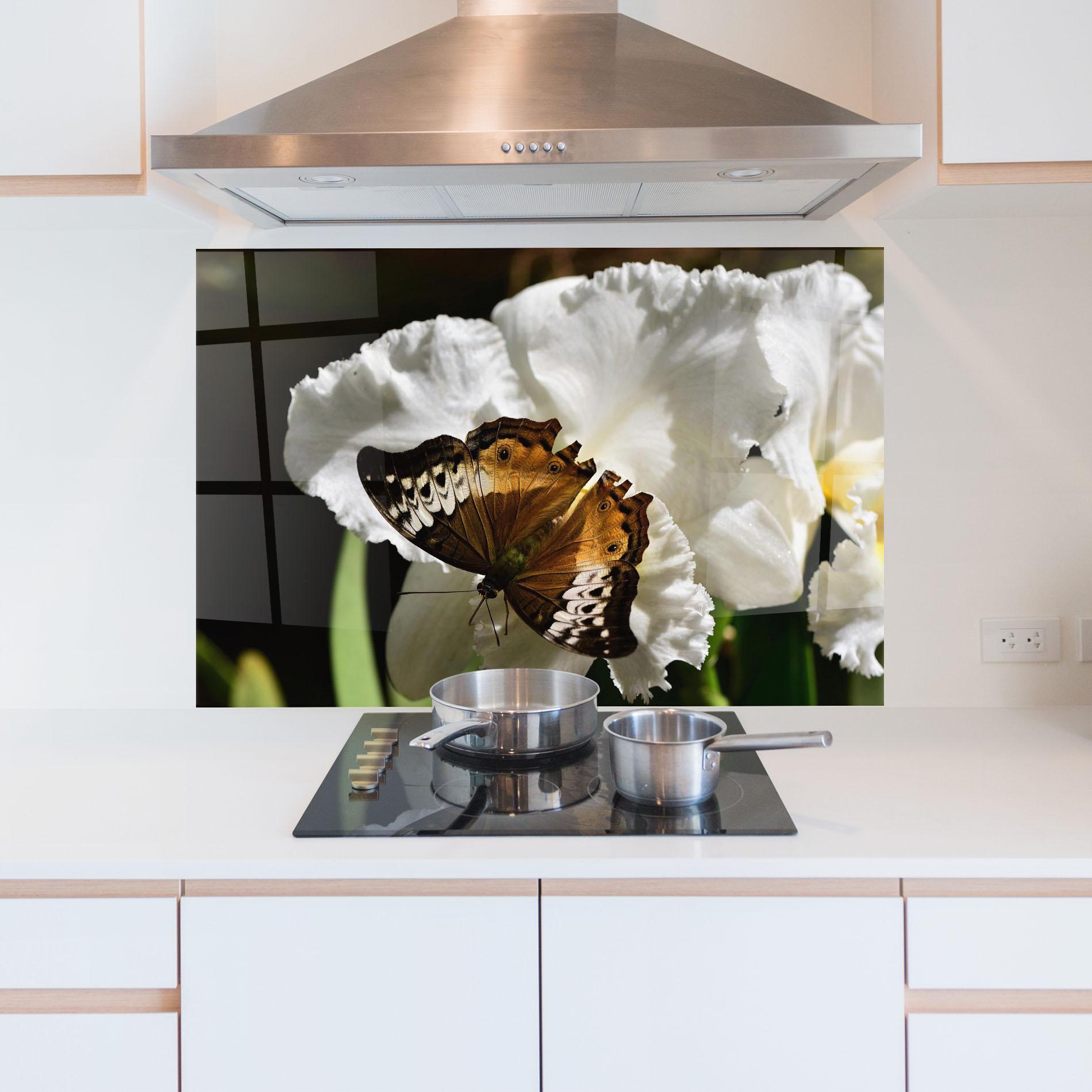 Küchenrückwand Glas Butterfly Exotic Plant mockup 5