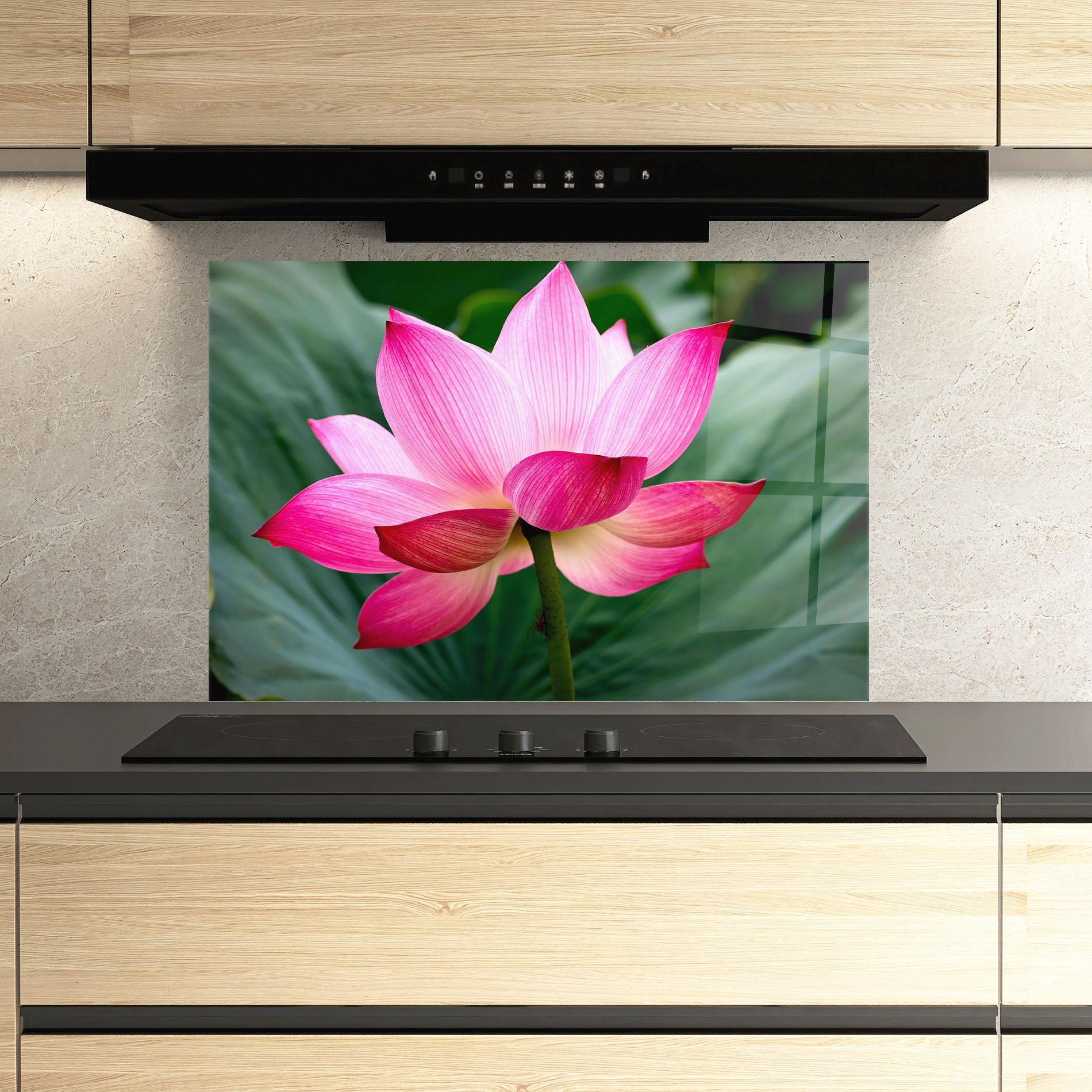 Küchenrückwand Glas Beautiful Pink Exotic mockup 3