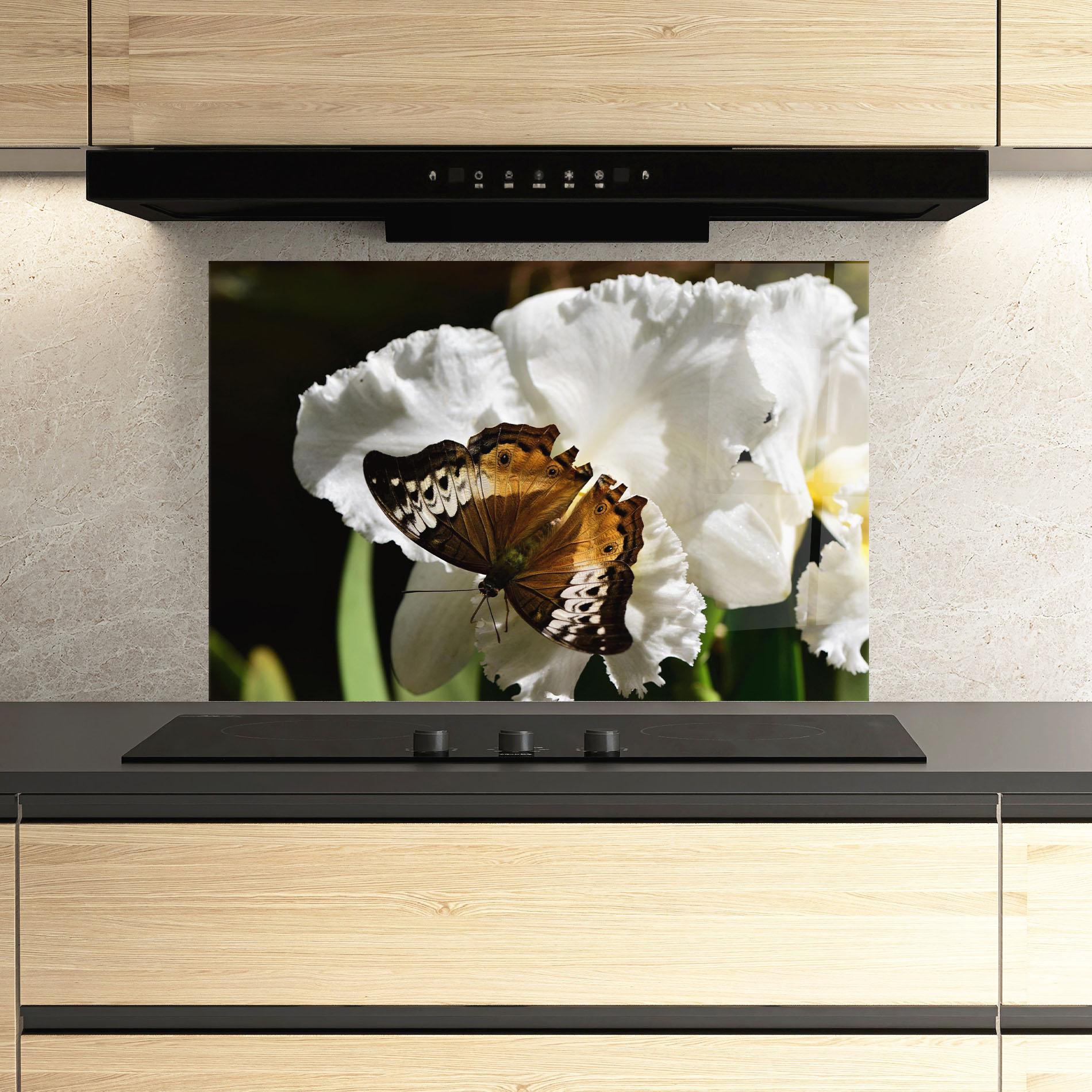 Küchenrückwand Glas Butterfly Exotic Plant mockup 3