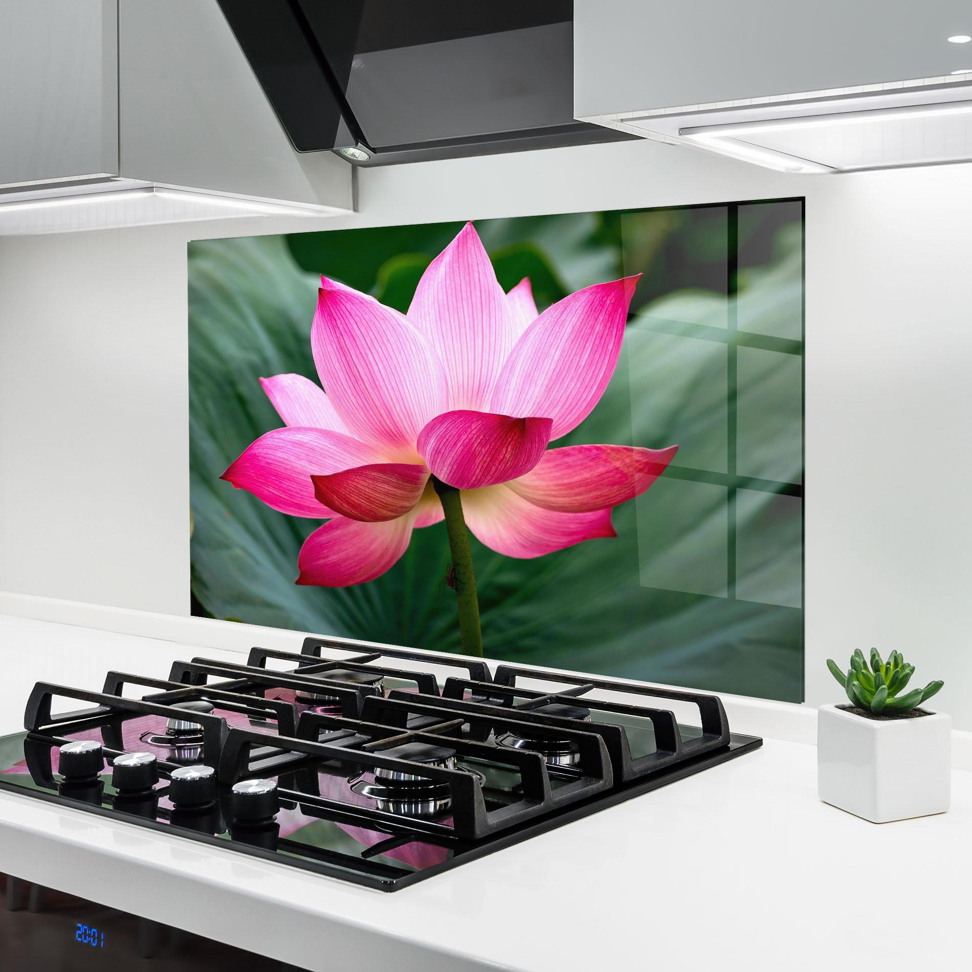 Küchenrückwand Glas Beautiful Pink Exotic mockup 6