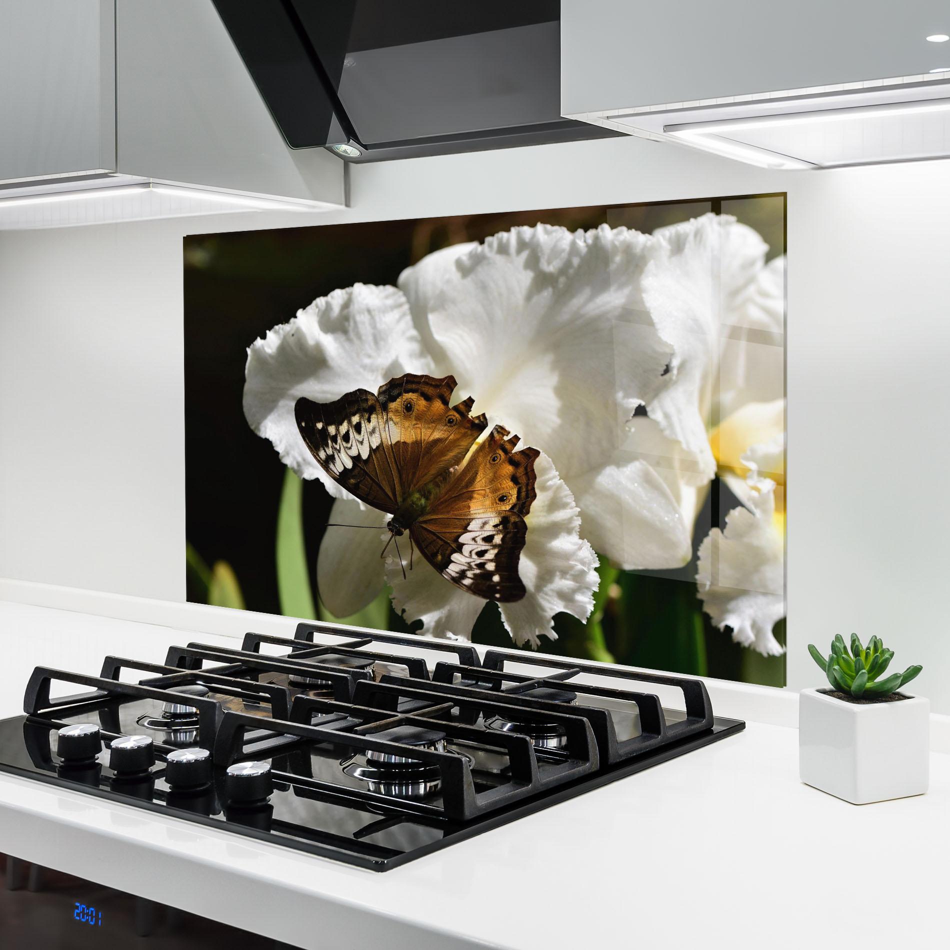 Küchenrückwand Glas Butterfly Exotic Plant mockup 6