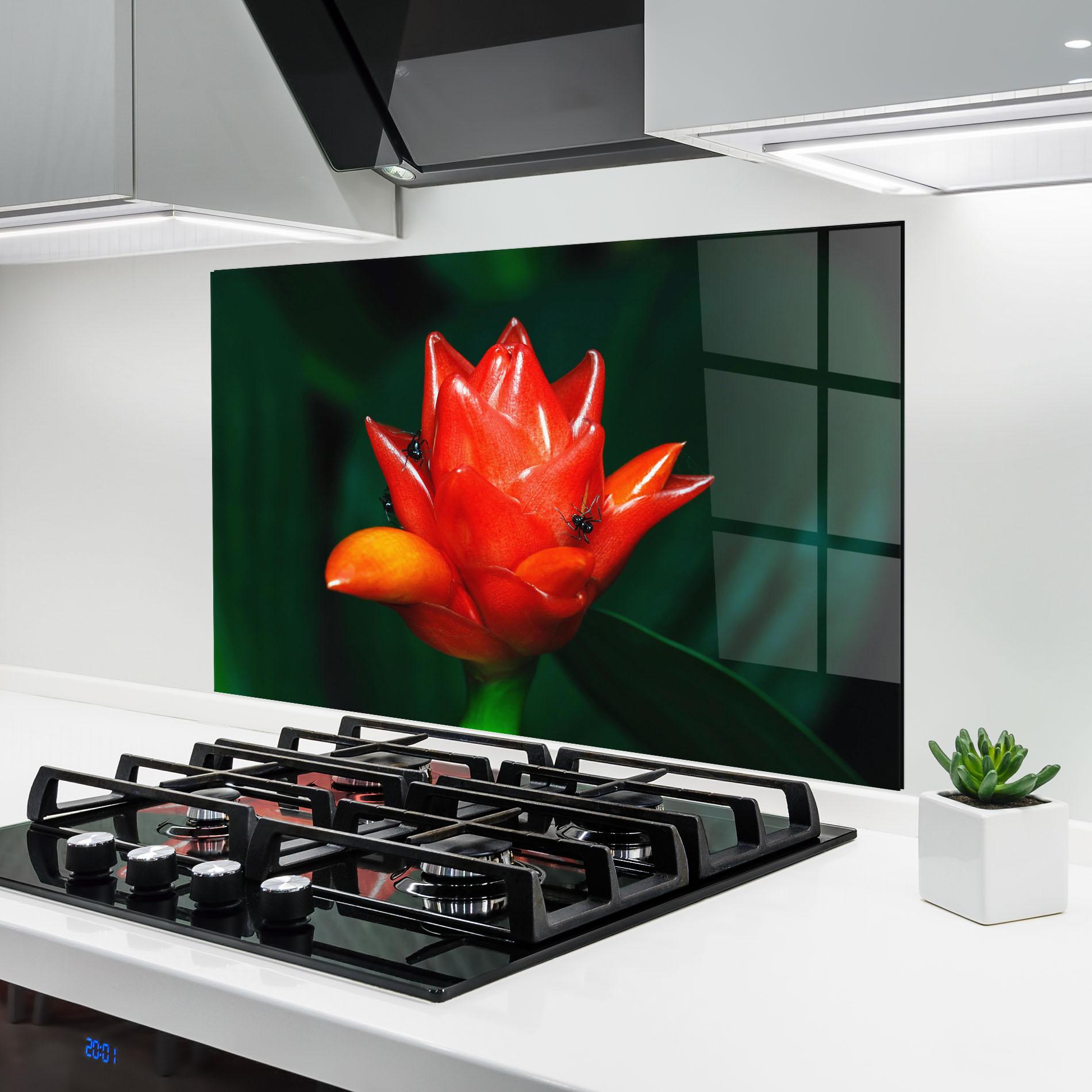 Küchenrückwand Glas Cool Orange Exotic mockup 6