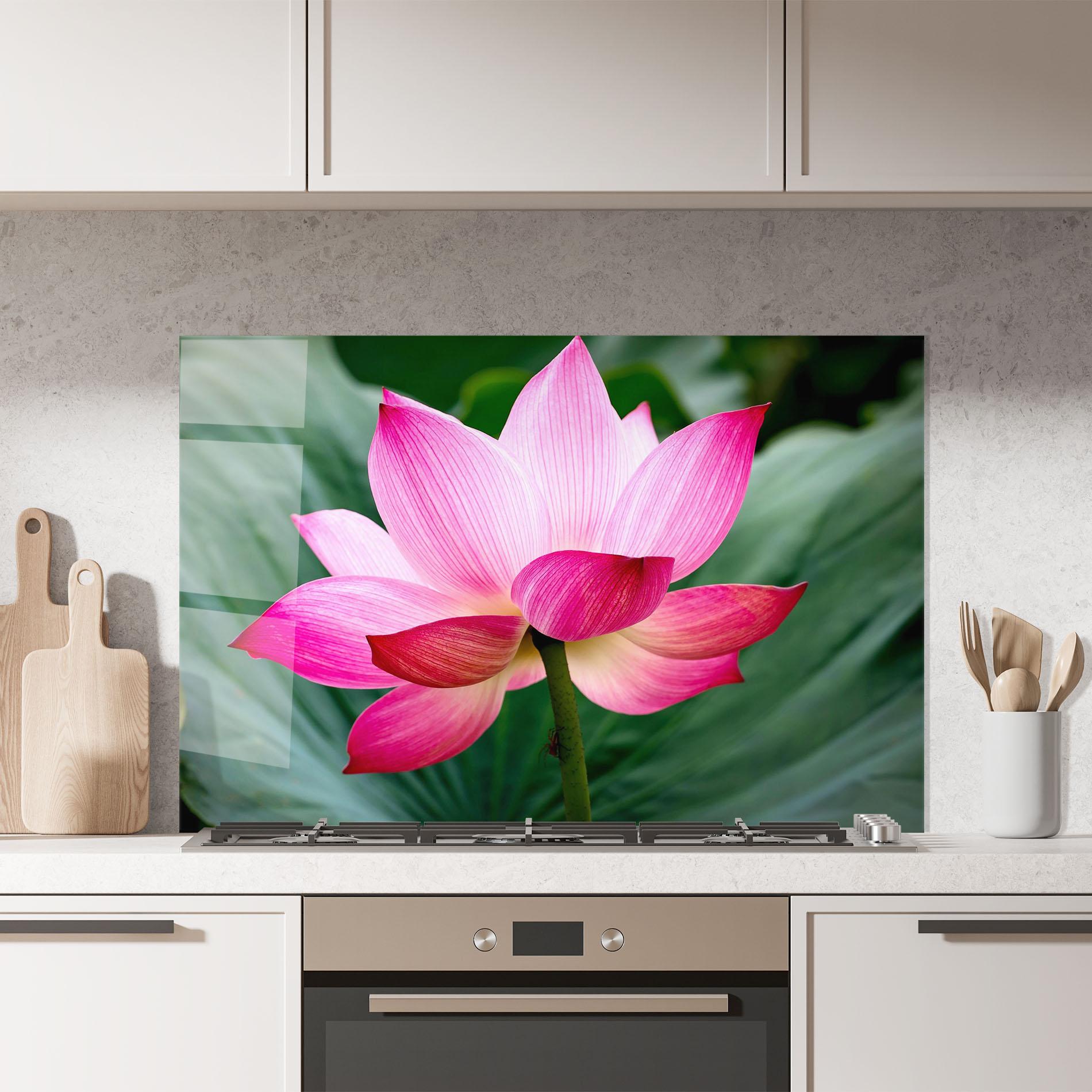 Küchenrückwand Glas Beautiful Pink Exotic mockup 7