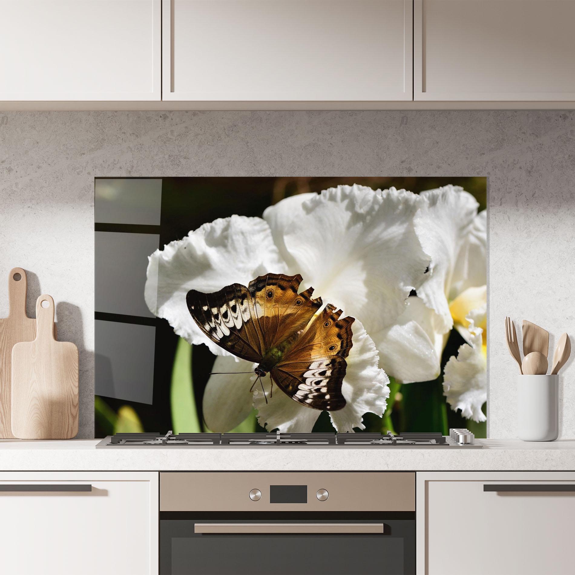 Küchenrückwand Glas Butterfly Exotic Plant mockup 7