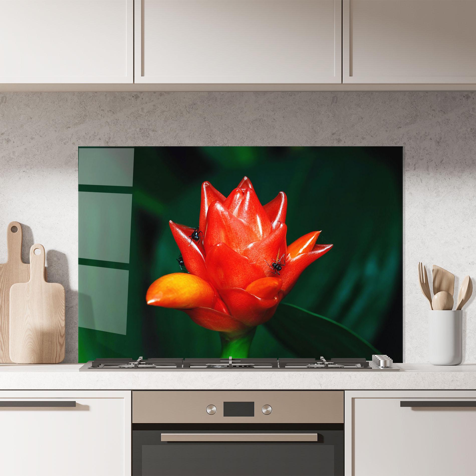 Küchenrückwand Glas Cool Orange Exotic mockup 7
