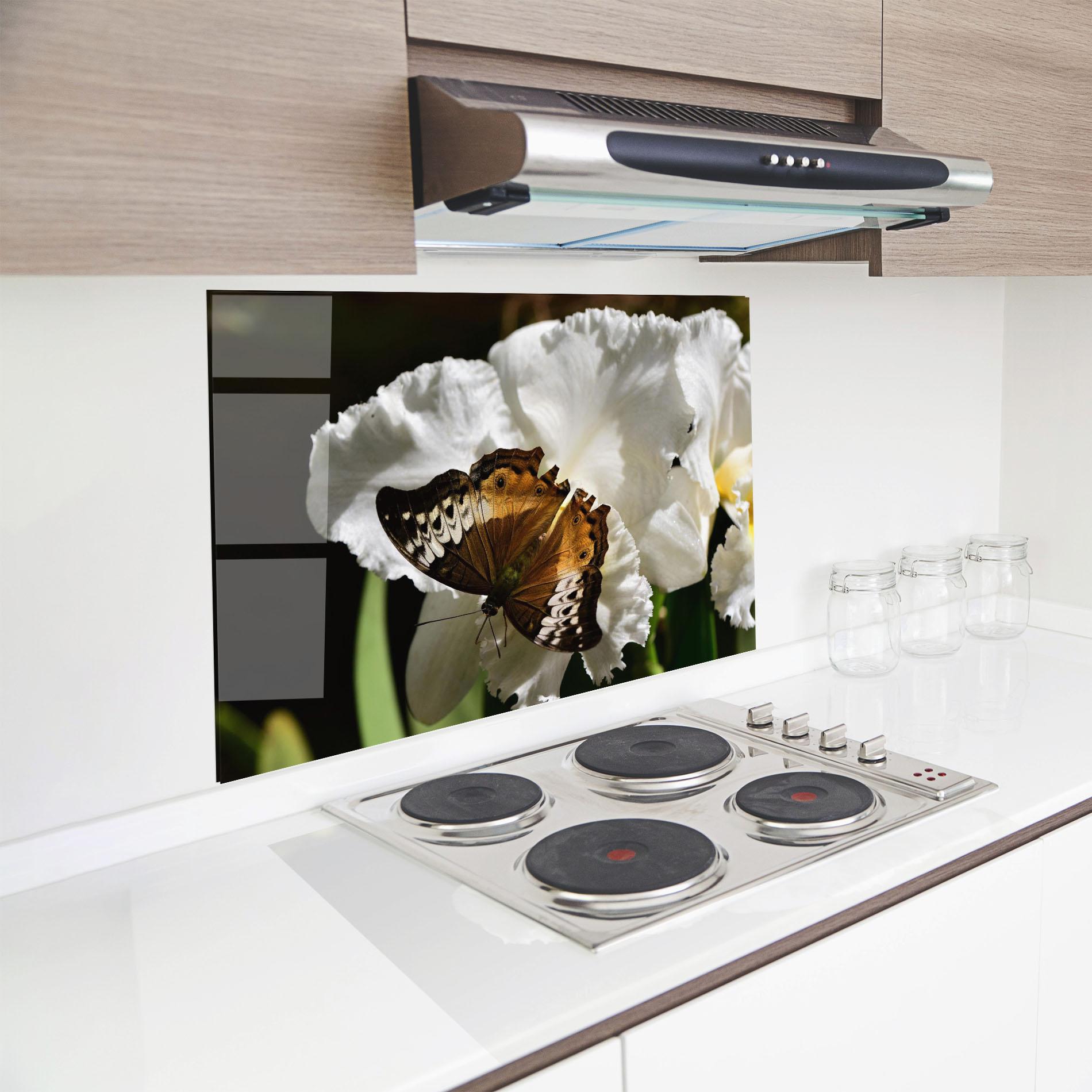 Küchenrückwand Glas Butterfly Exotic Plant mockup 8