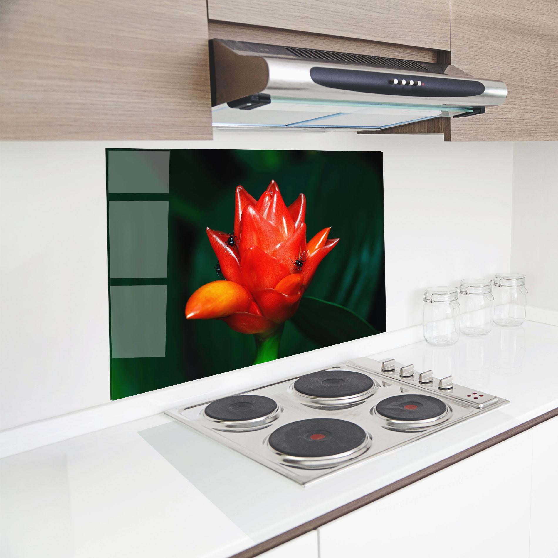 Küchenrückwand Glas Cool Orange Exotic mockup 8