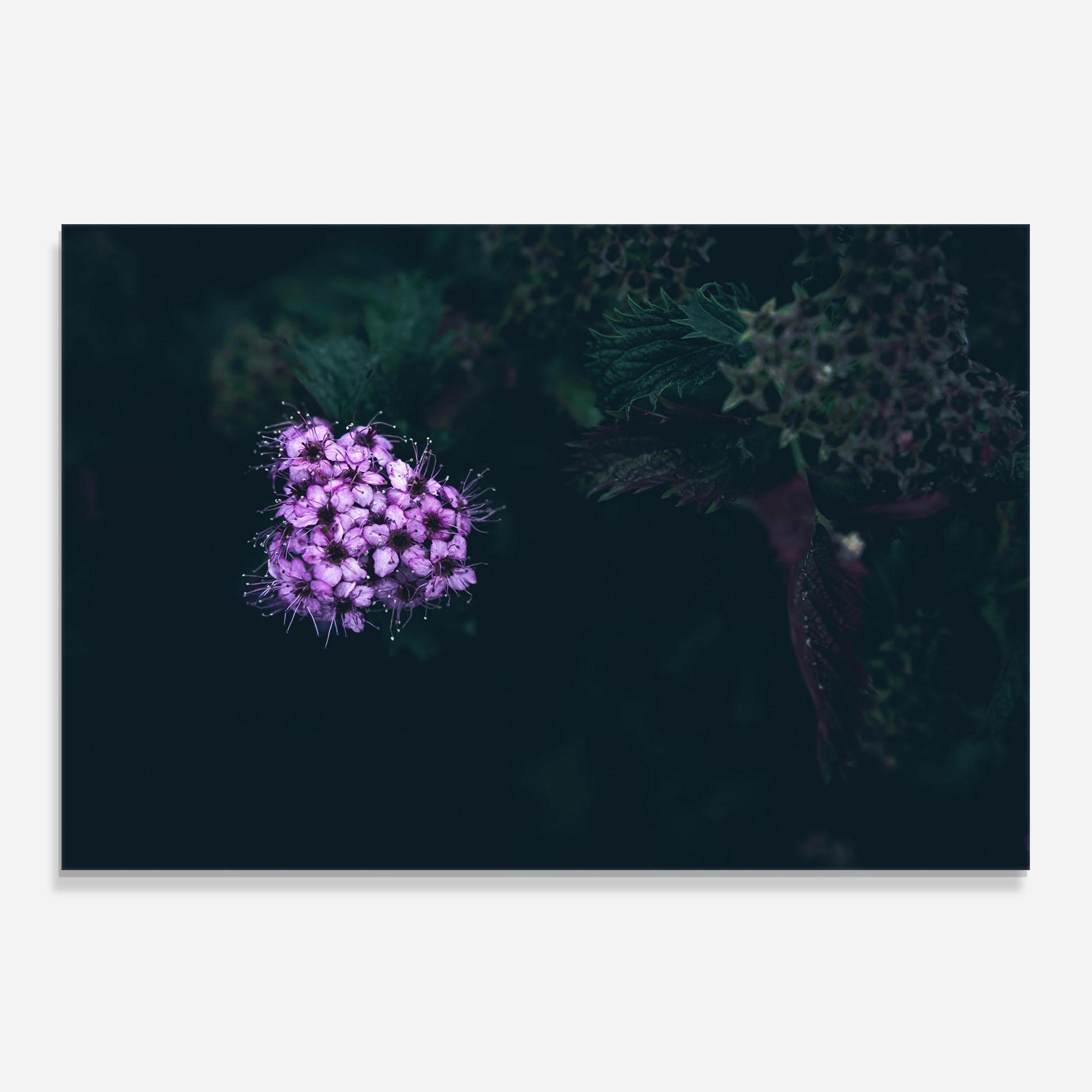 Küchenrückwand Glas Dark Purple Flower mockup 0