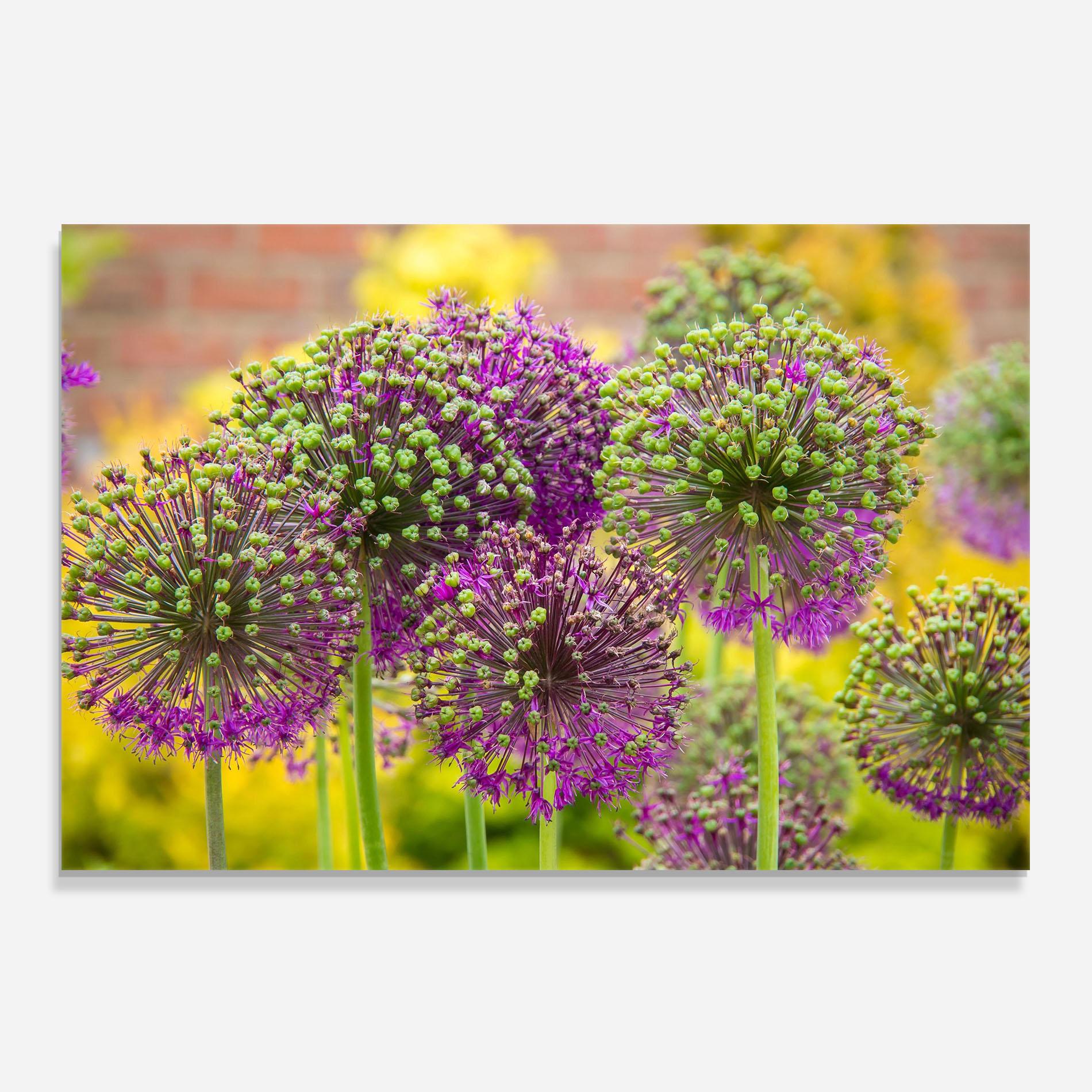 Küchenrückwand Glas Green Purple Garden mockup 0