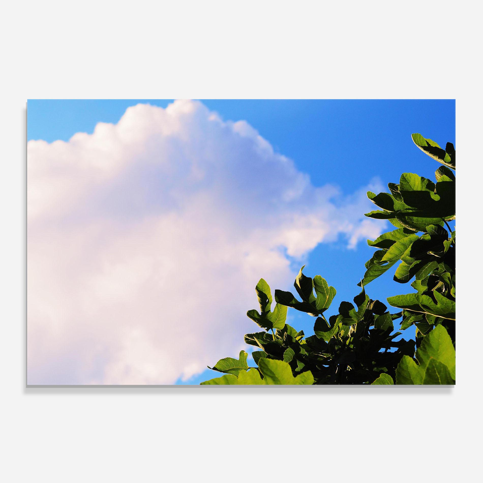 Küchenrückwand Glas J Cruikshank Lhzagi8n3oi Unsplash mockup 0