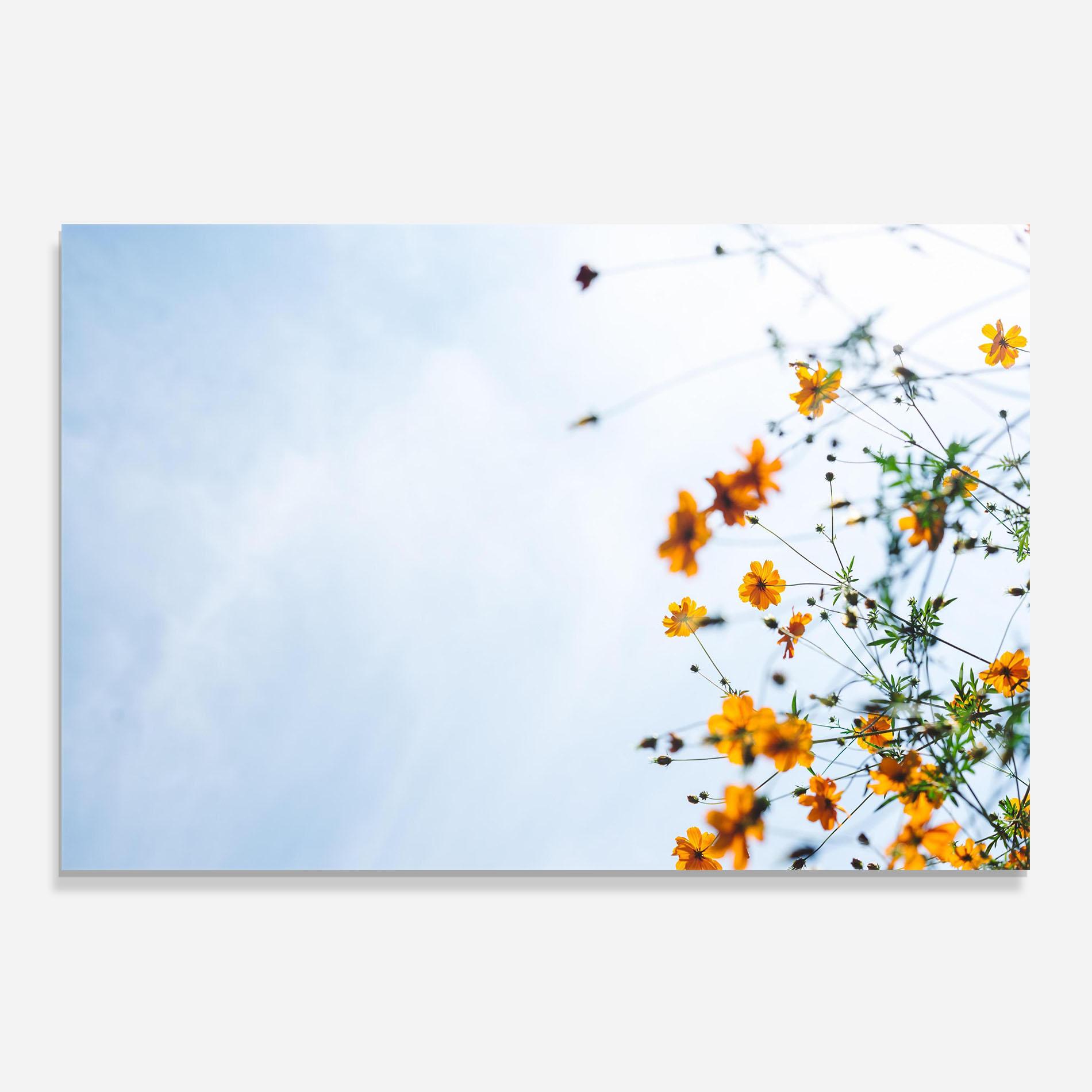 Küchenrückwand Glas Masaaki Komori 7xp5bj34ybg Unsplash mockup 0