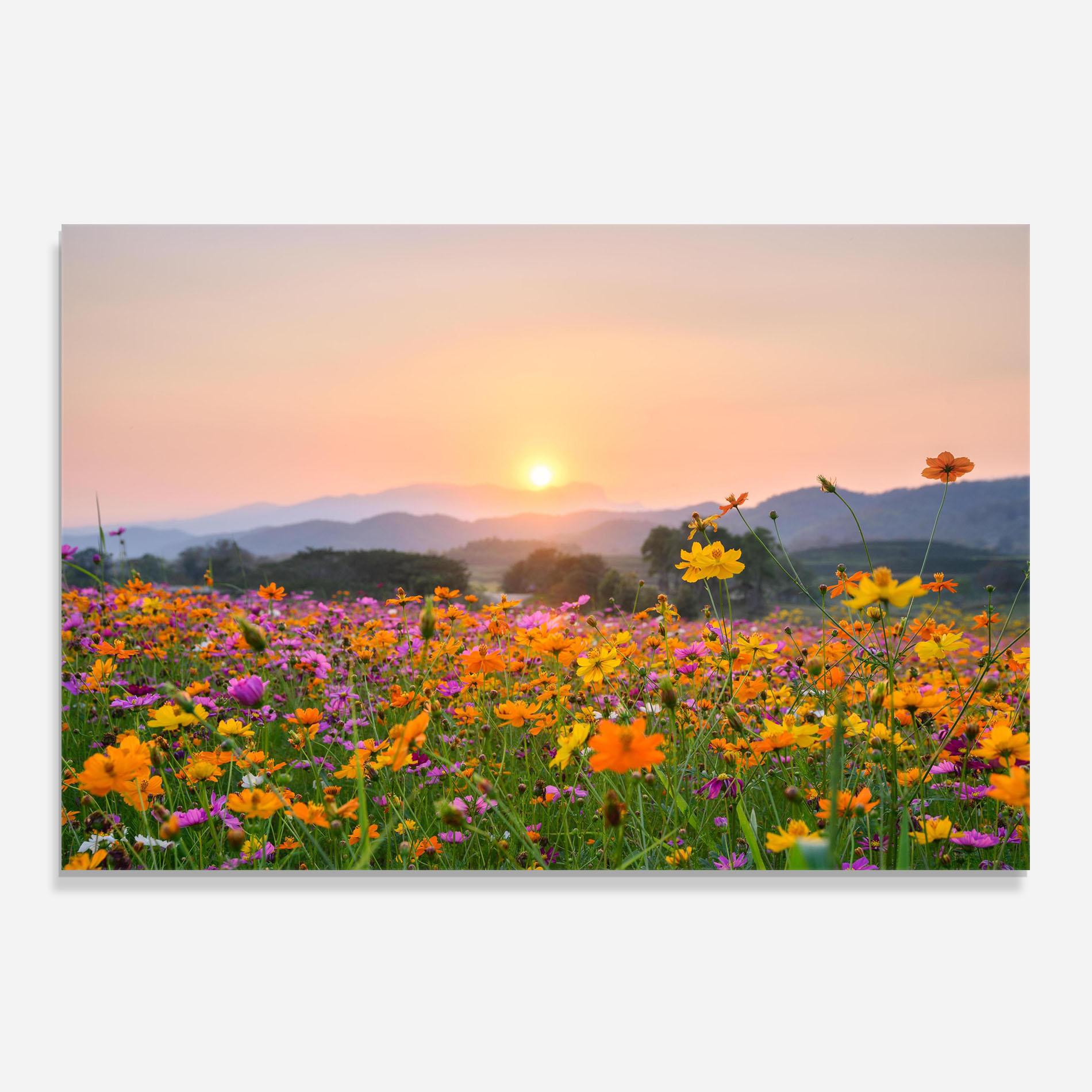 Küchenrückwand Glas Sunset Mountain Flowerf mockup 0