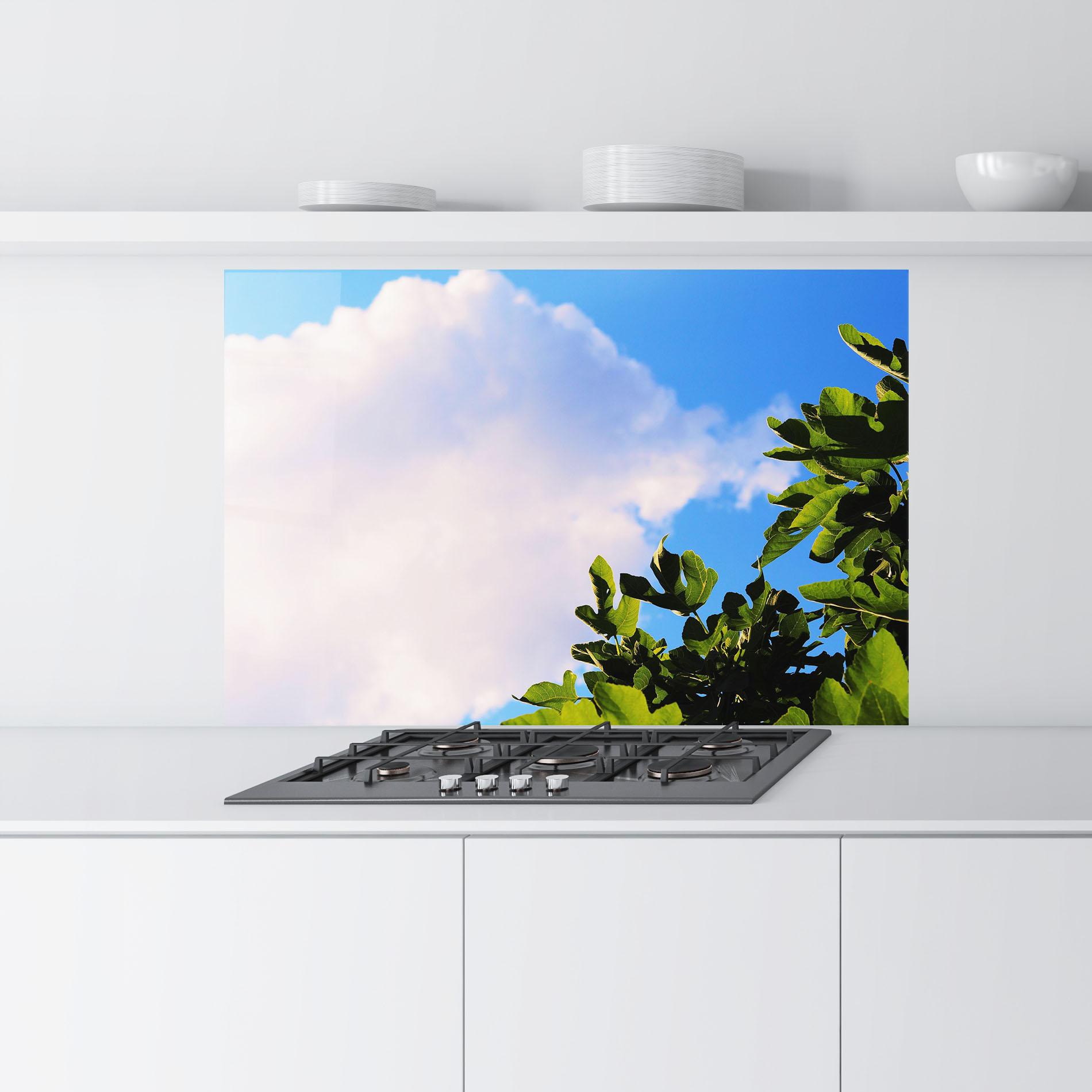 Küchenrückwand Glas J Cruikshank Lhzagi8n3oi Unsplash mockup 9