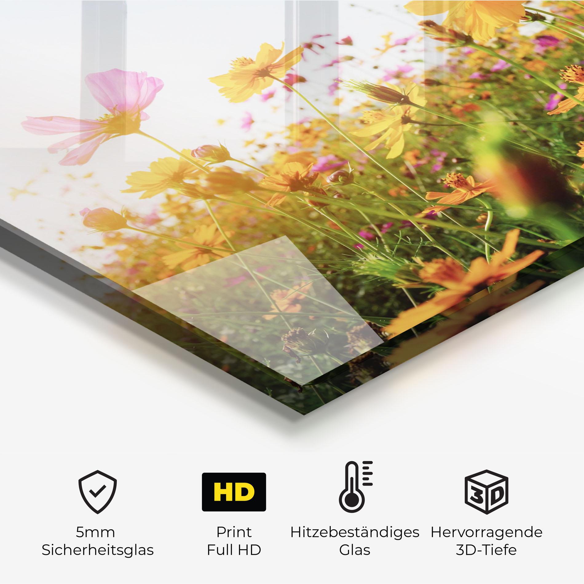 Küchenrückwand Glas Cosmos Field Sunset mockup 2