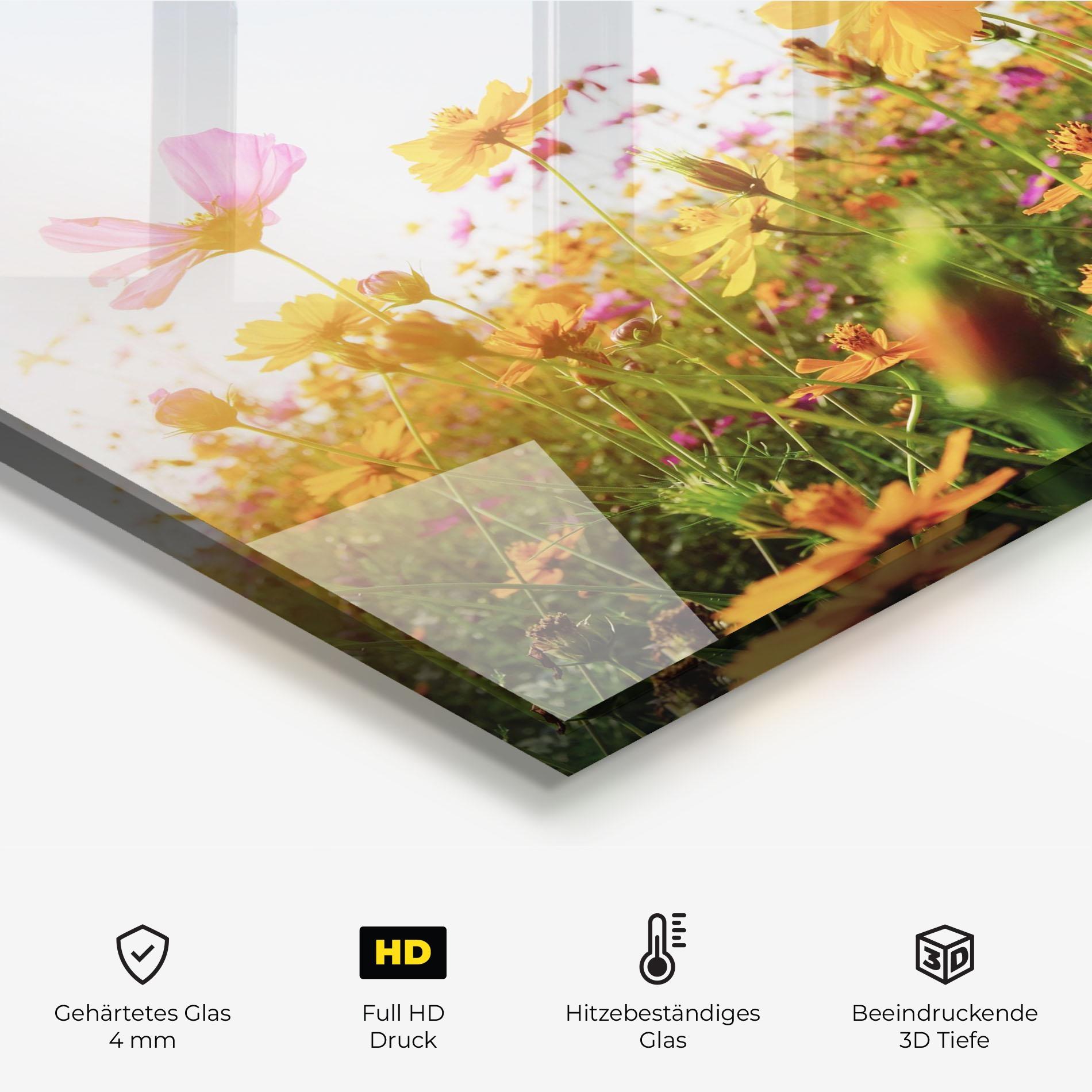 Küchenrückwand Glas Cosmos Field Sunset mockup 2