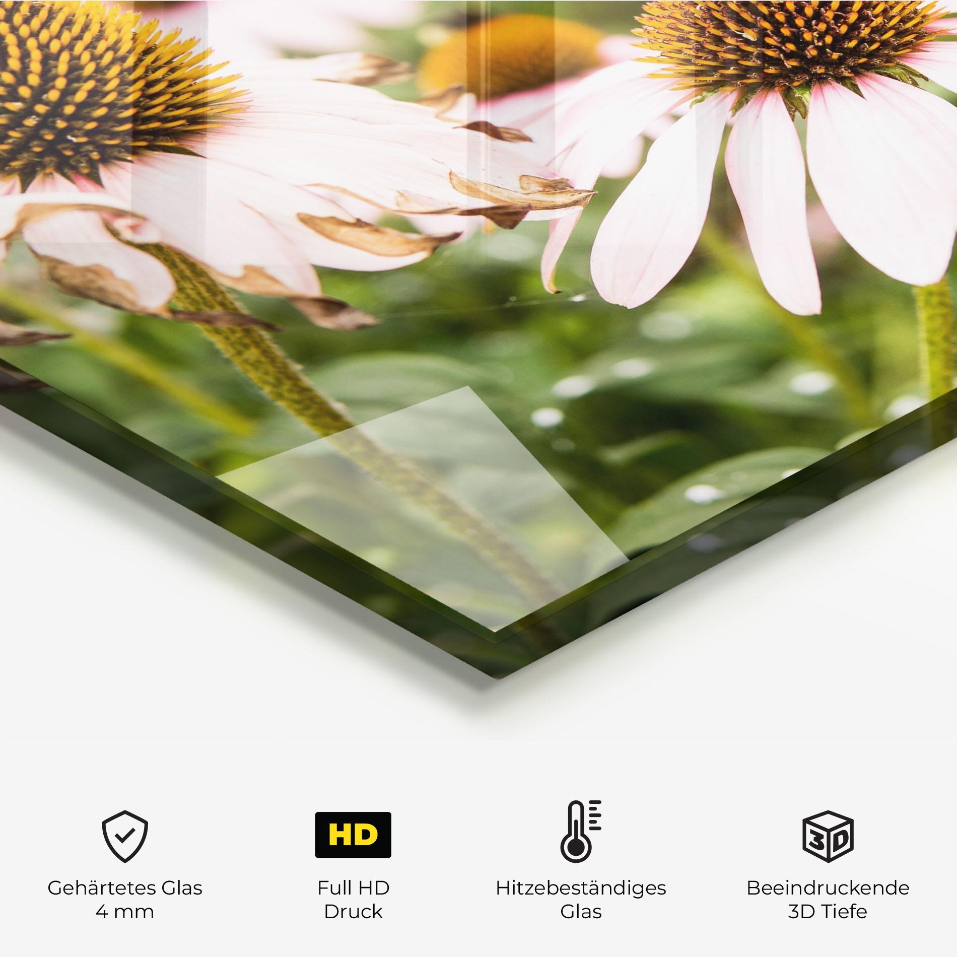 Küchenrückwand Glas Daylight Bee mockup 2