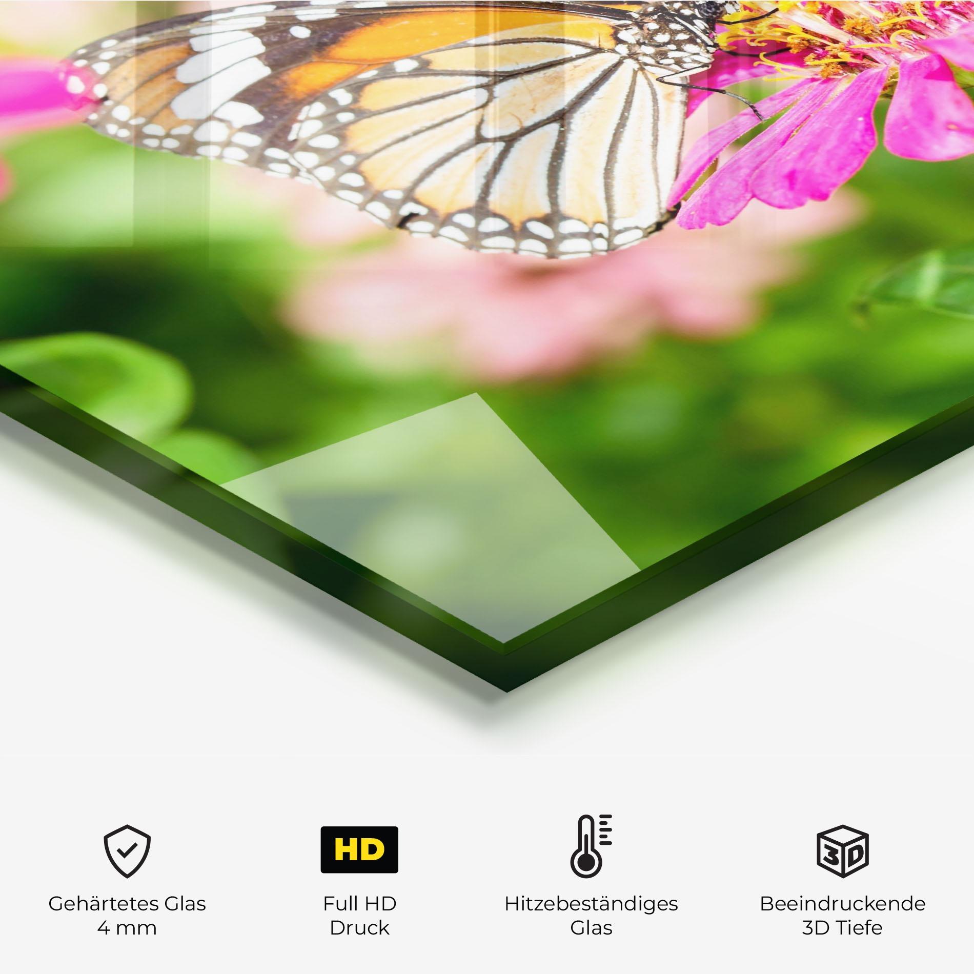 Küchenrückwand Glas Daylight Butterfly mockup 2