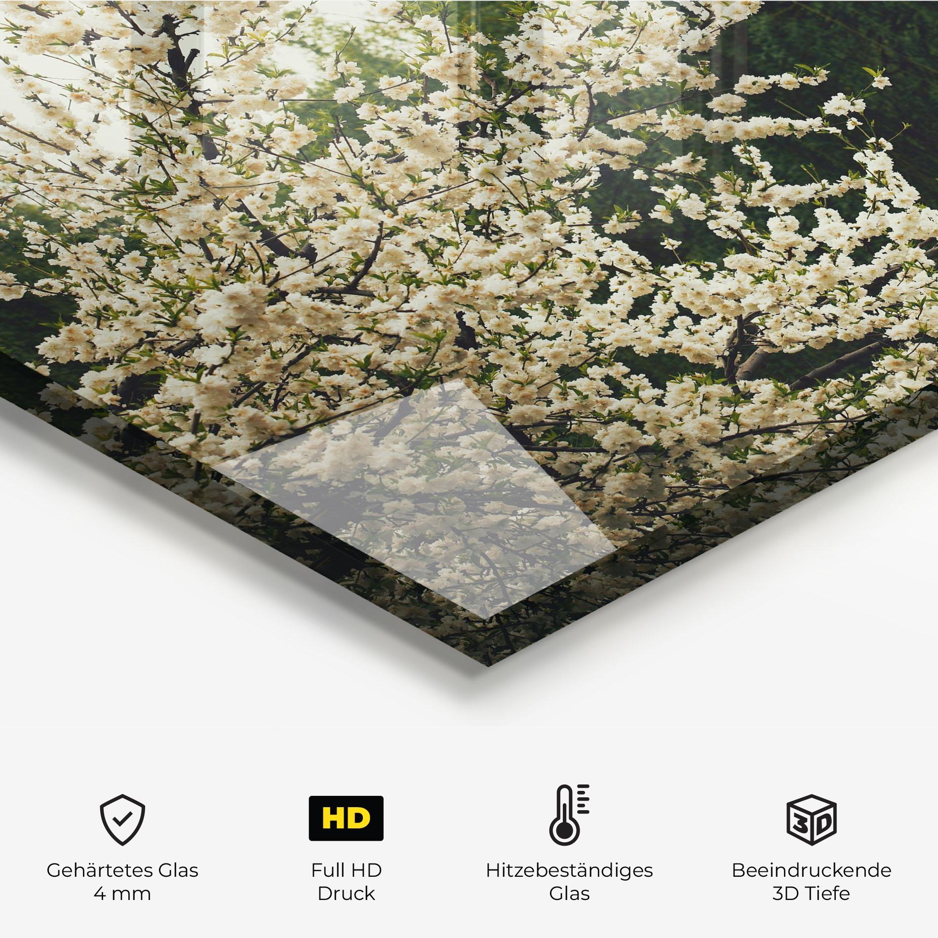 Küchenrückwand Glas Nature Veiw Tree mockup 2