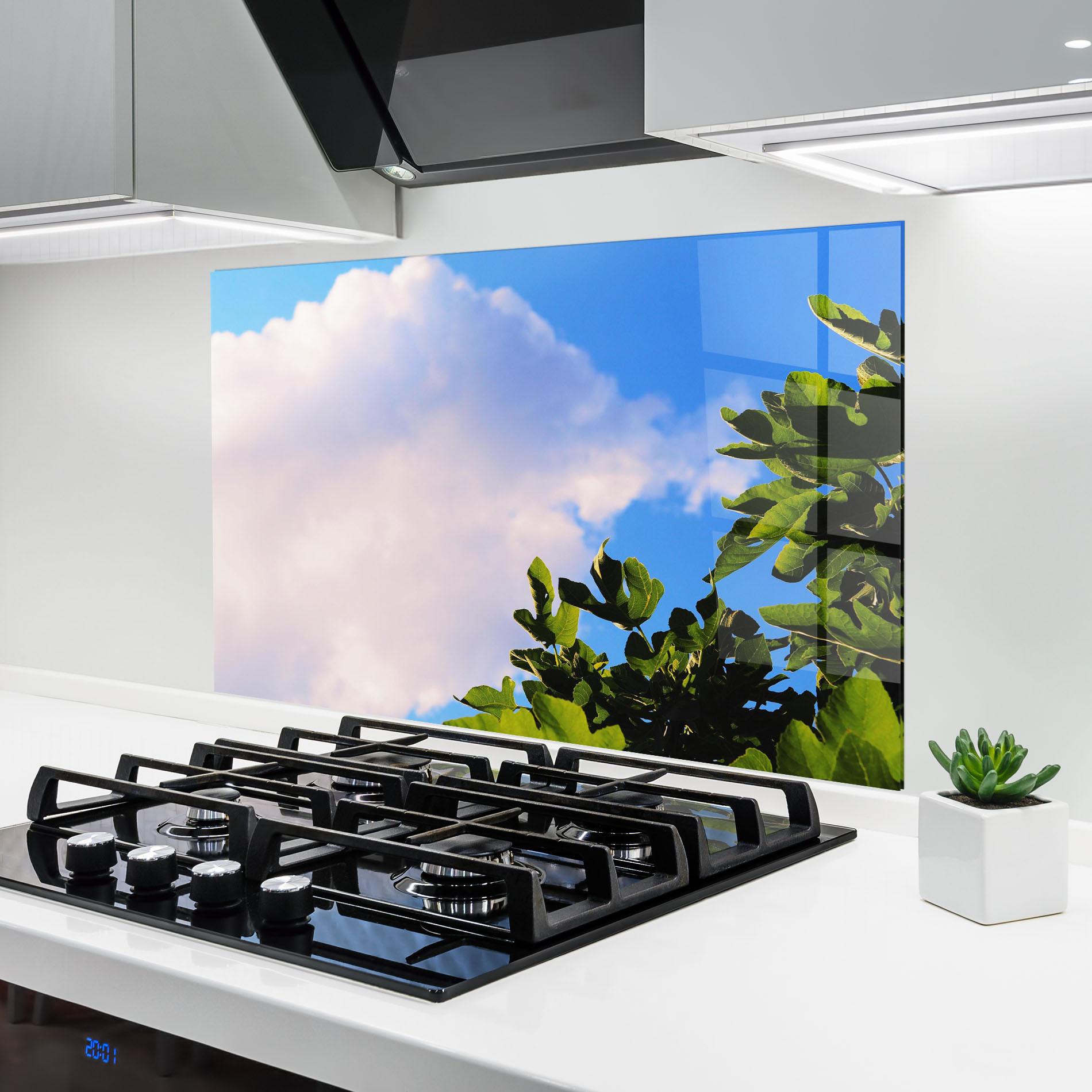 Küchenrückwand Glas J Cruikshank Lhzagi8n3oi Unsplash mockup 6