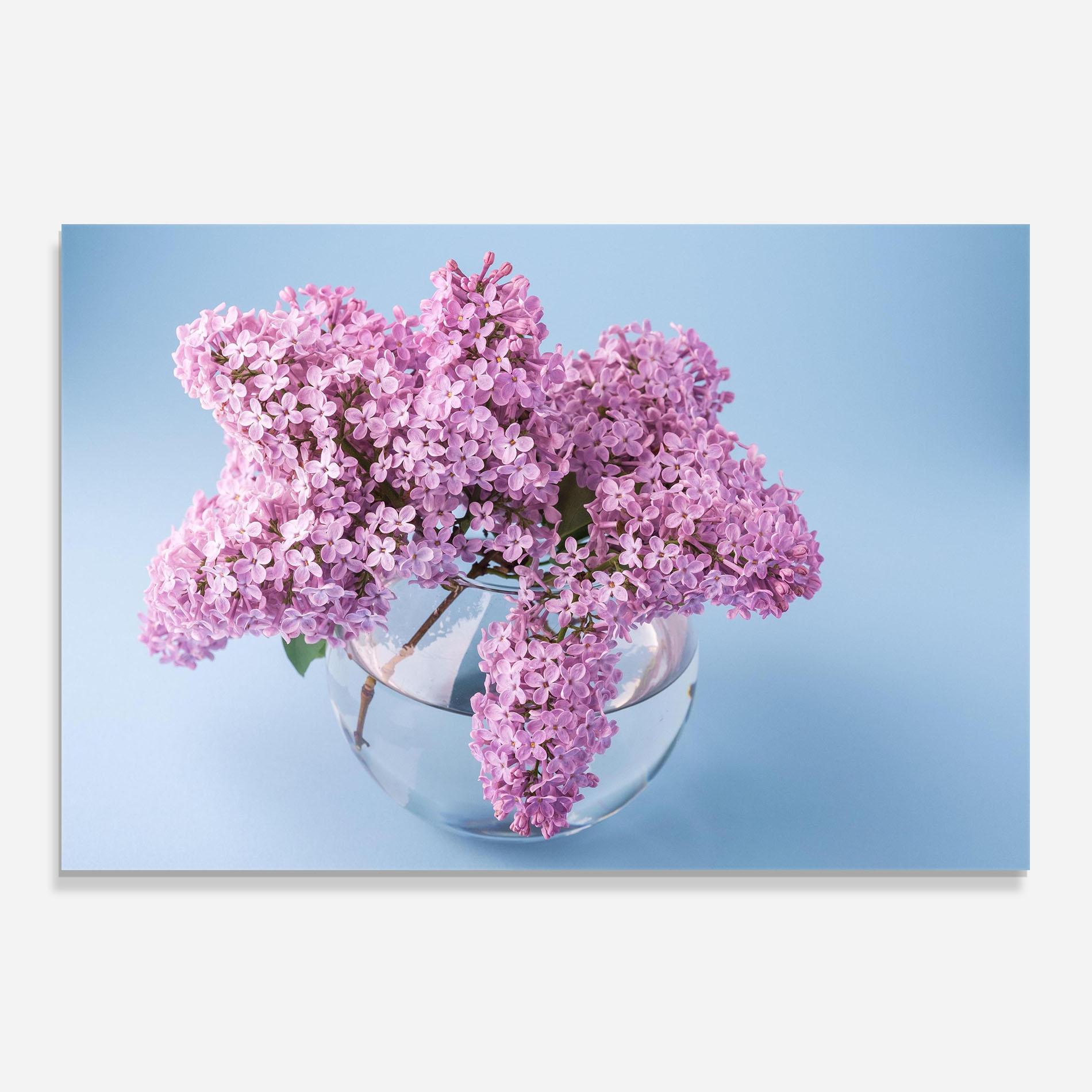 Küchenrückwand Glas Lilac Flower mockup 0