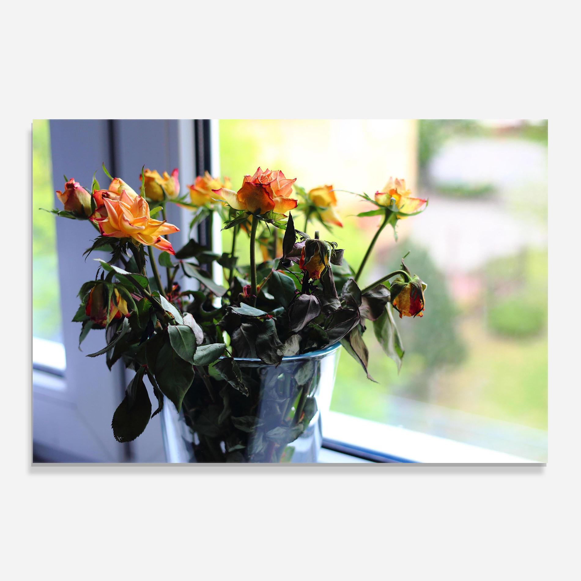 Küchenrückwand Glas Red Yellow Rose Vase mockup 0