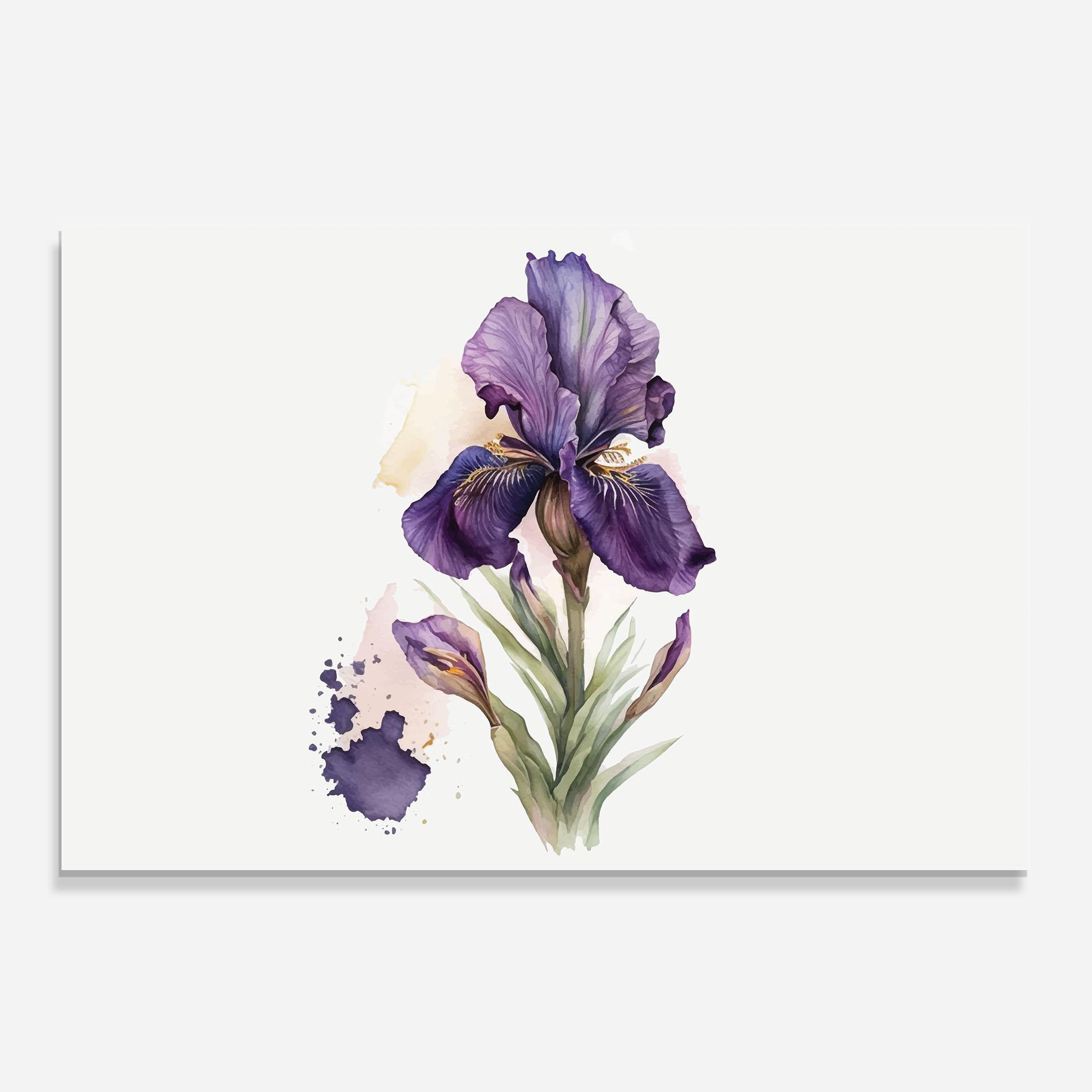 Küchenrückwand Glas Beautiful Purple Iris mockup 0