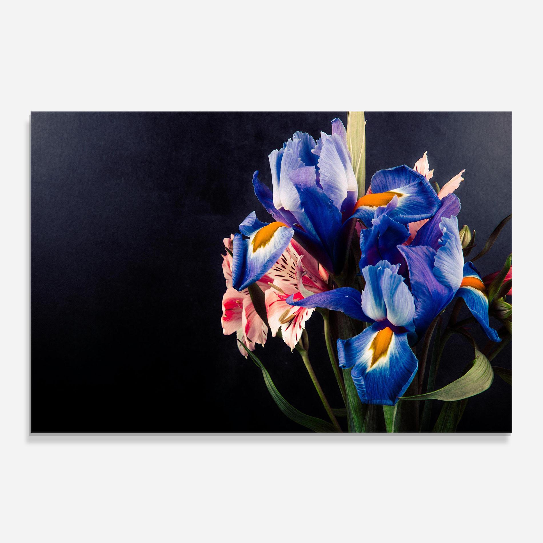 Küchenrückwand Glas Iris Bouquet mockup 0