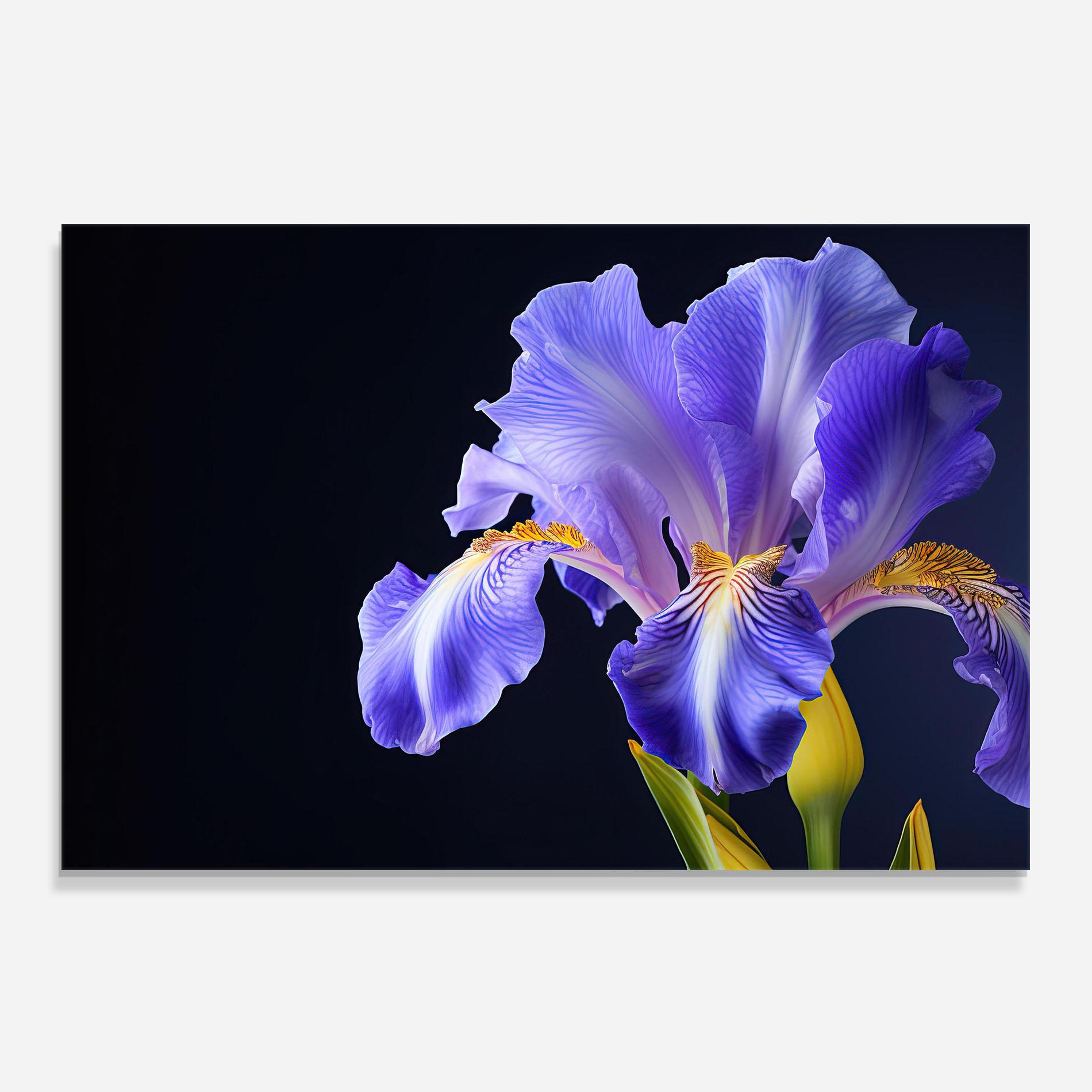 Küchenrückwand Glas Purple Iris On Black mockup 0