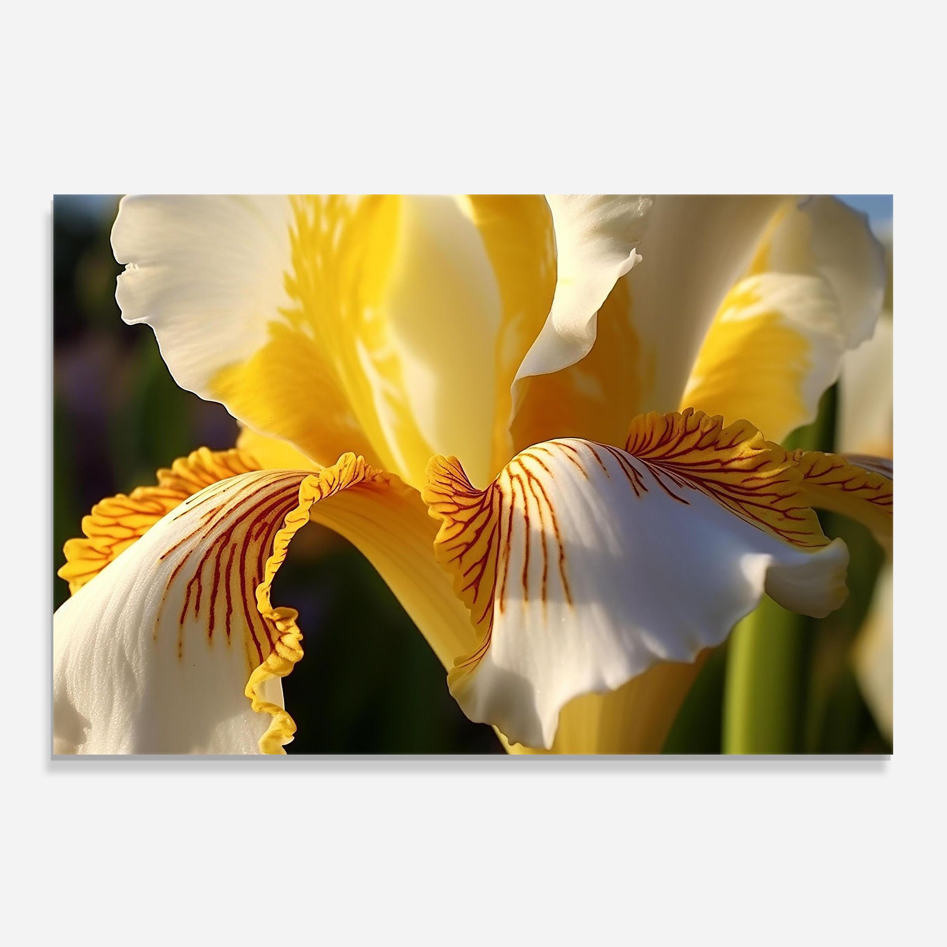 Yellow Iris mockup 0