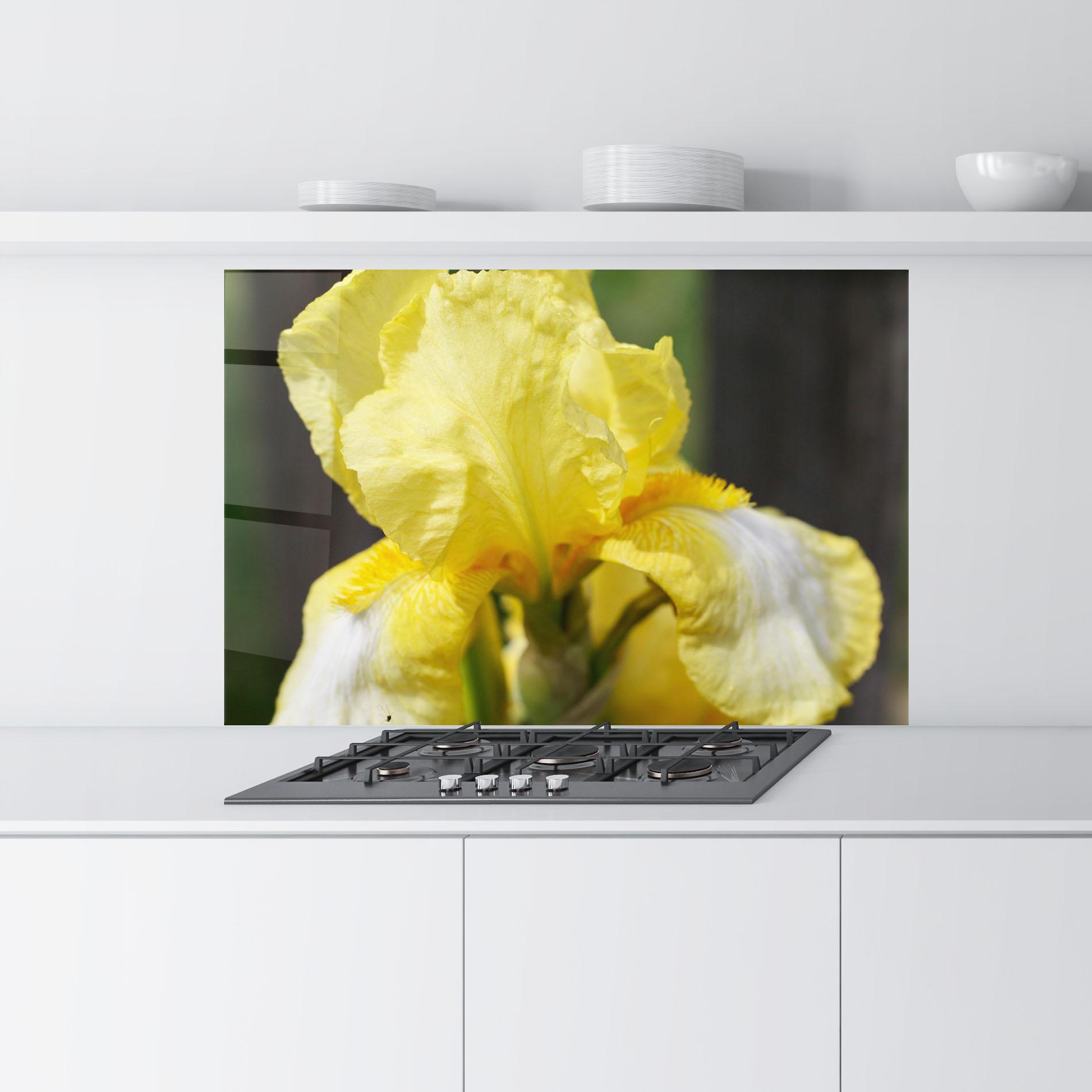 Küchenrückwand Glas Garden Yellow Iris mockup 9
