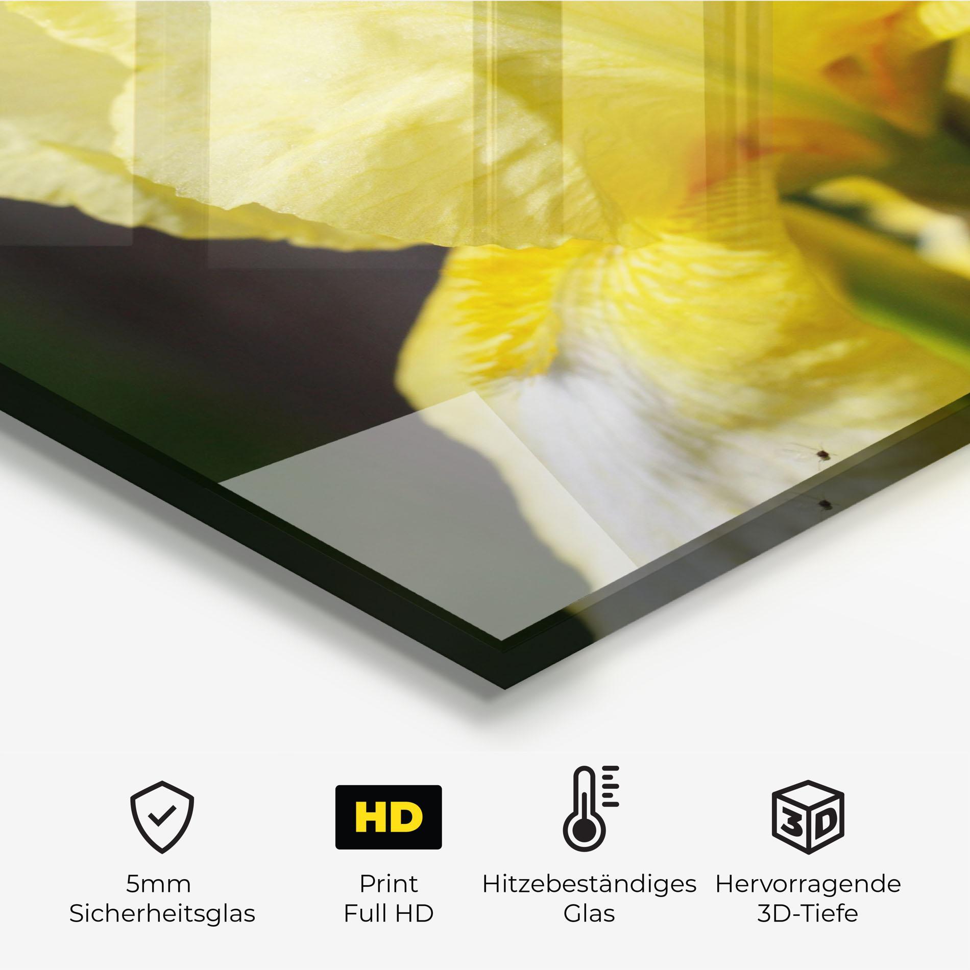 Küchenrückwand Glas Garden Yellow Iris mockup 2