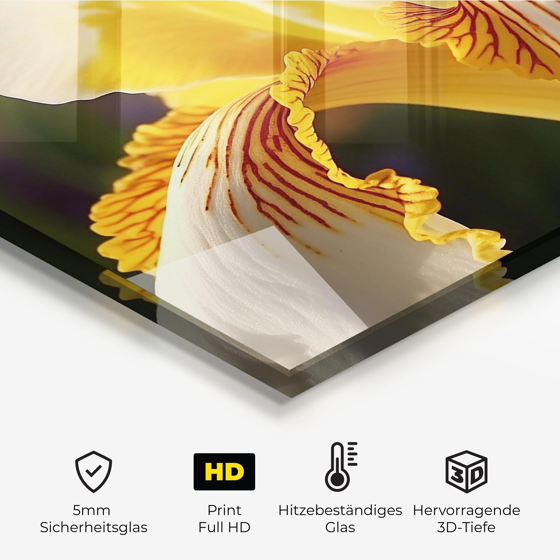 Küchenrückwand Glas Yellow Iris mockup 2