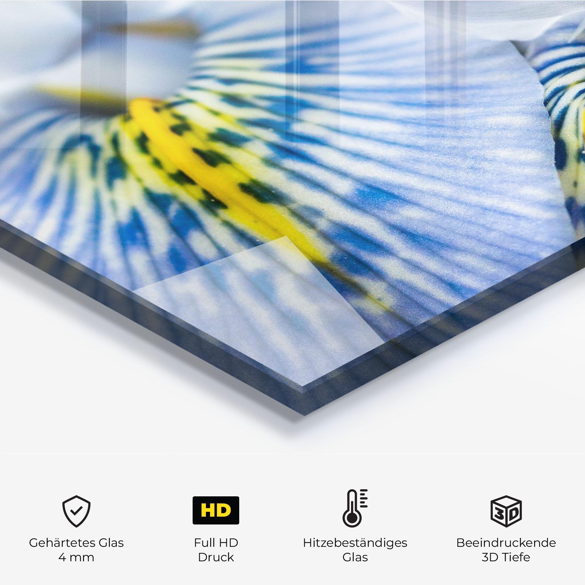 Küchenrückwand Glas Blue Yellow Iris mockup 2
