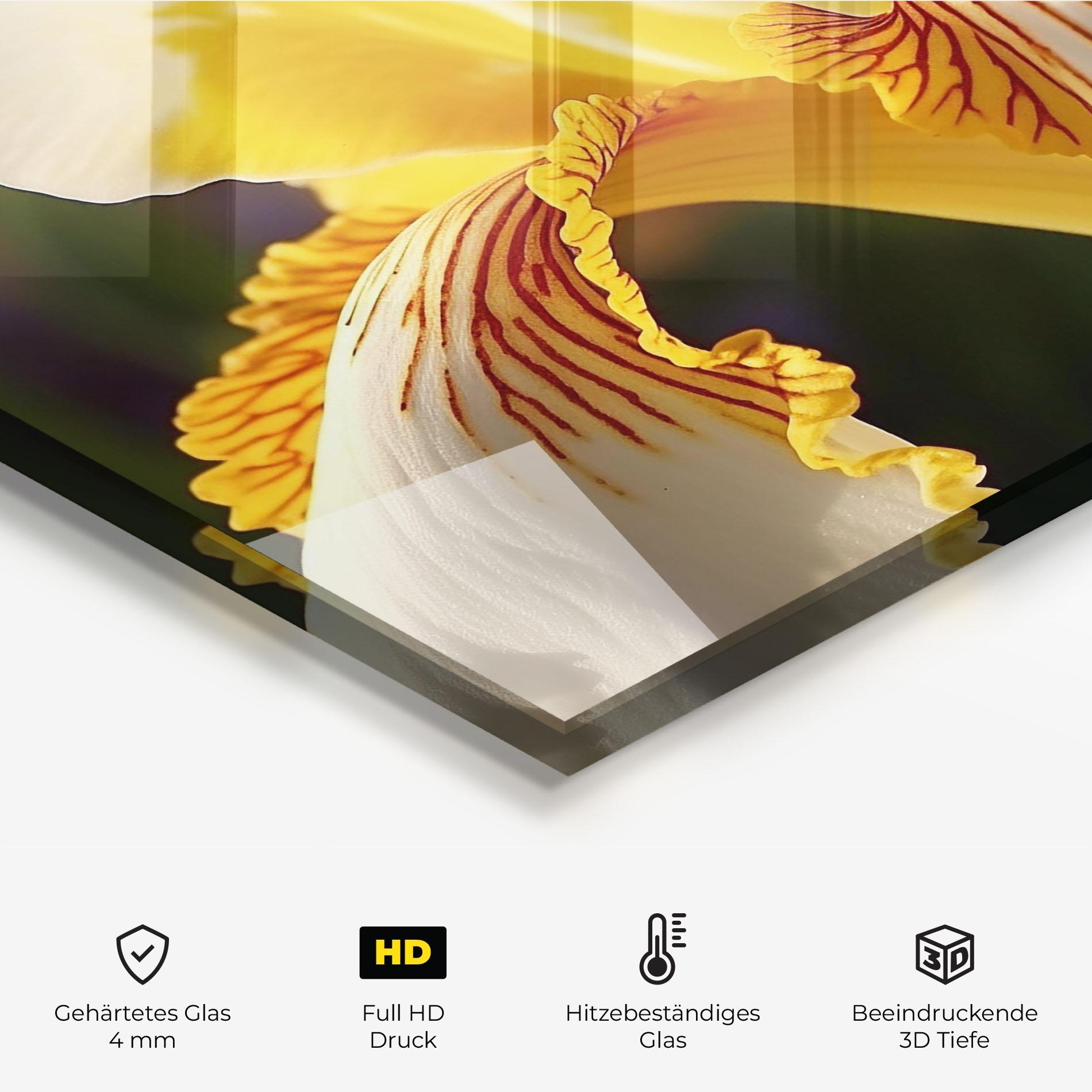 Küchenrückwand Glas Yellow Iris mockup 2