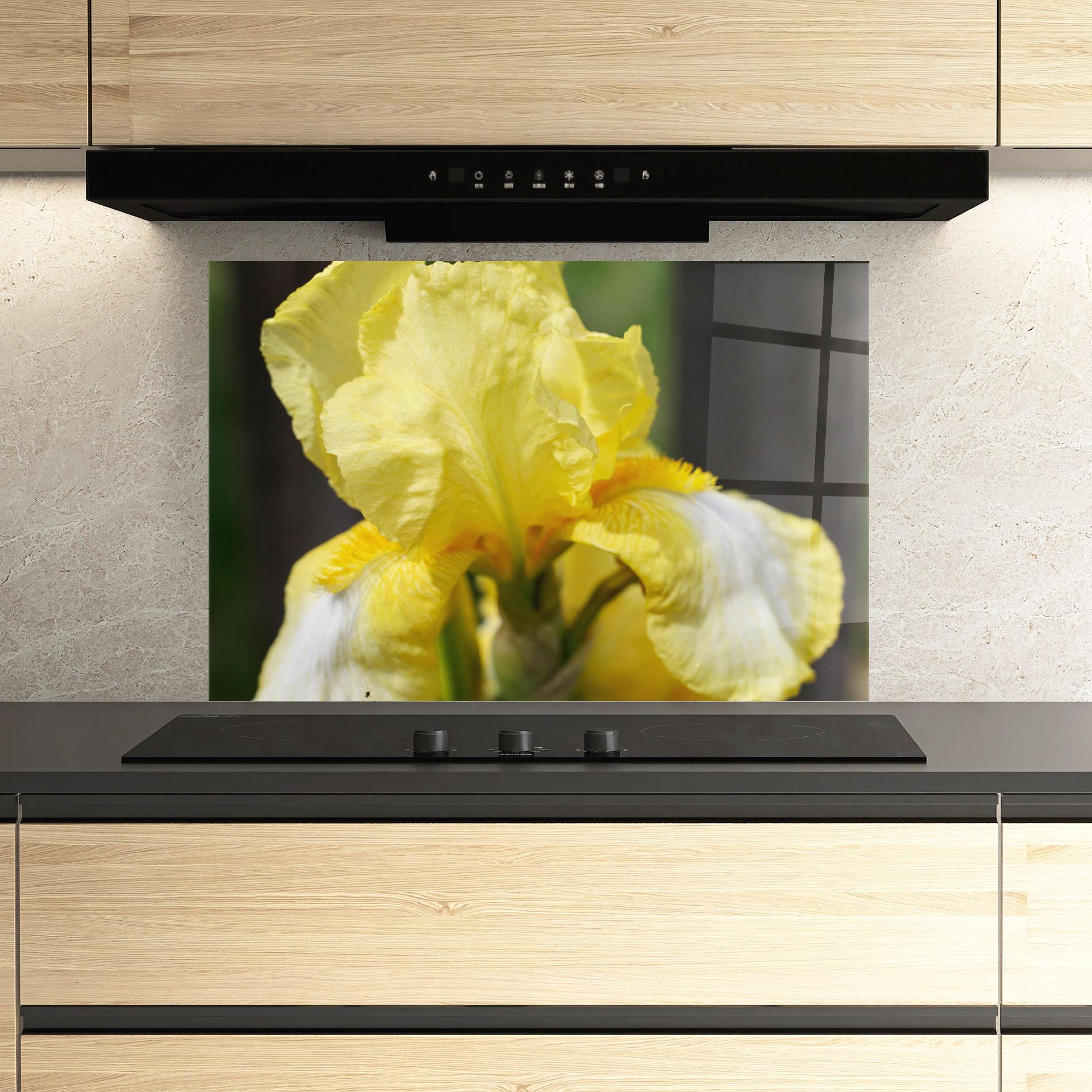 Küchenrückwand Glas Garden Yellow Iris mockup 3
