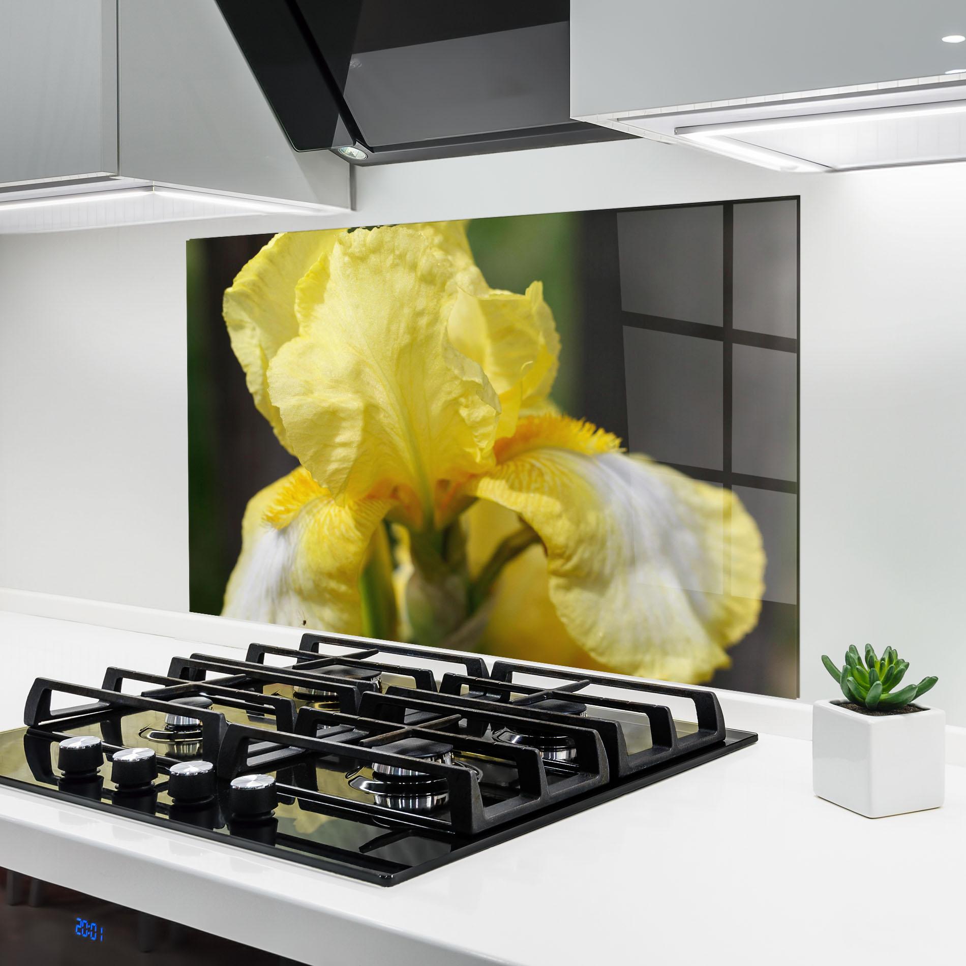 Küchenrückwand Glas Garden Yellow Iris mockup 6