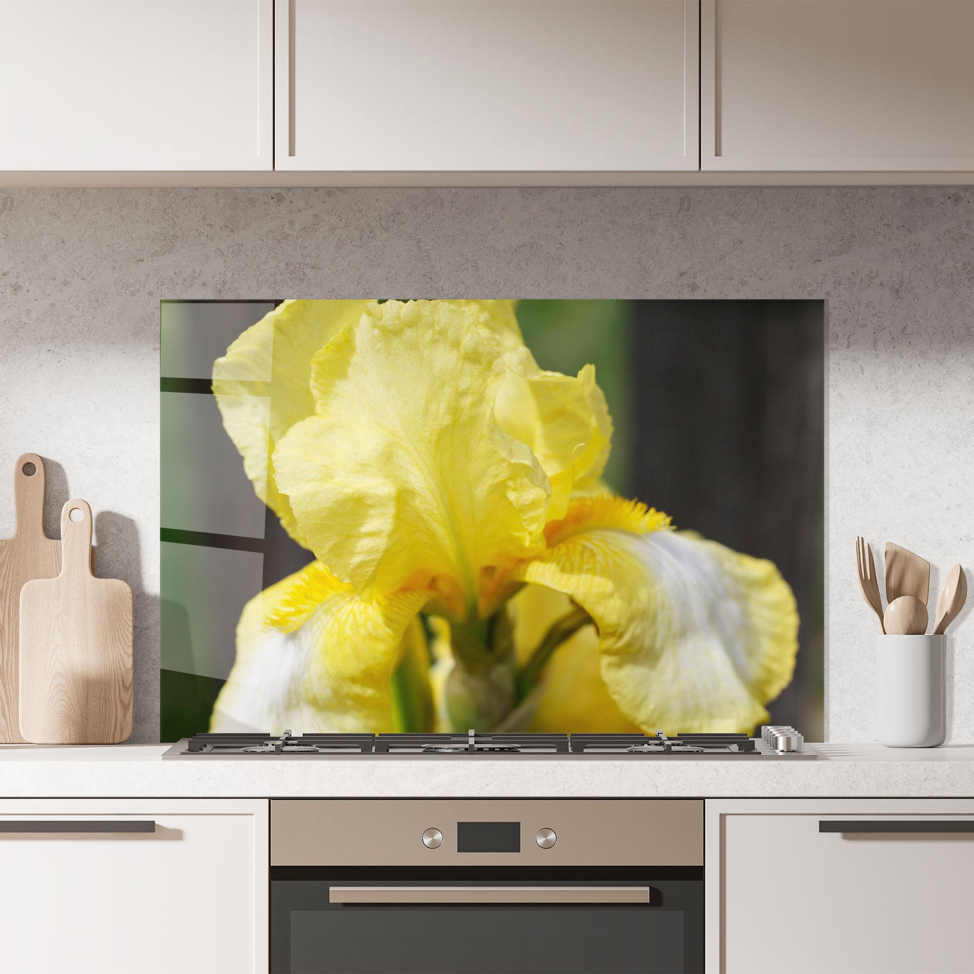 Küchenrückwand Glas Garden Yellow Iris mockup 7