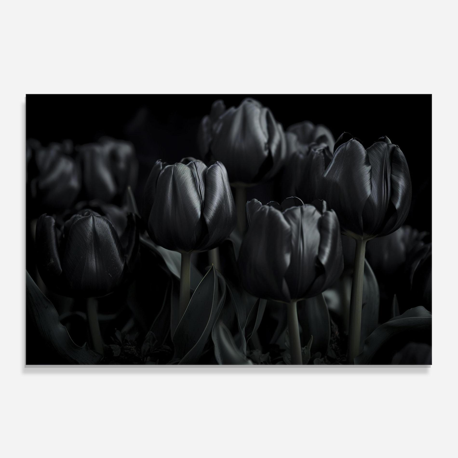 Küchenrückwand Glas Black Tulips mockup 0