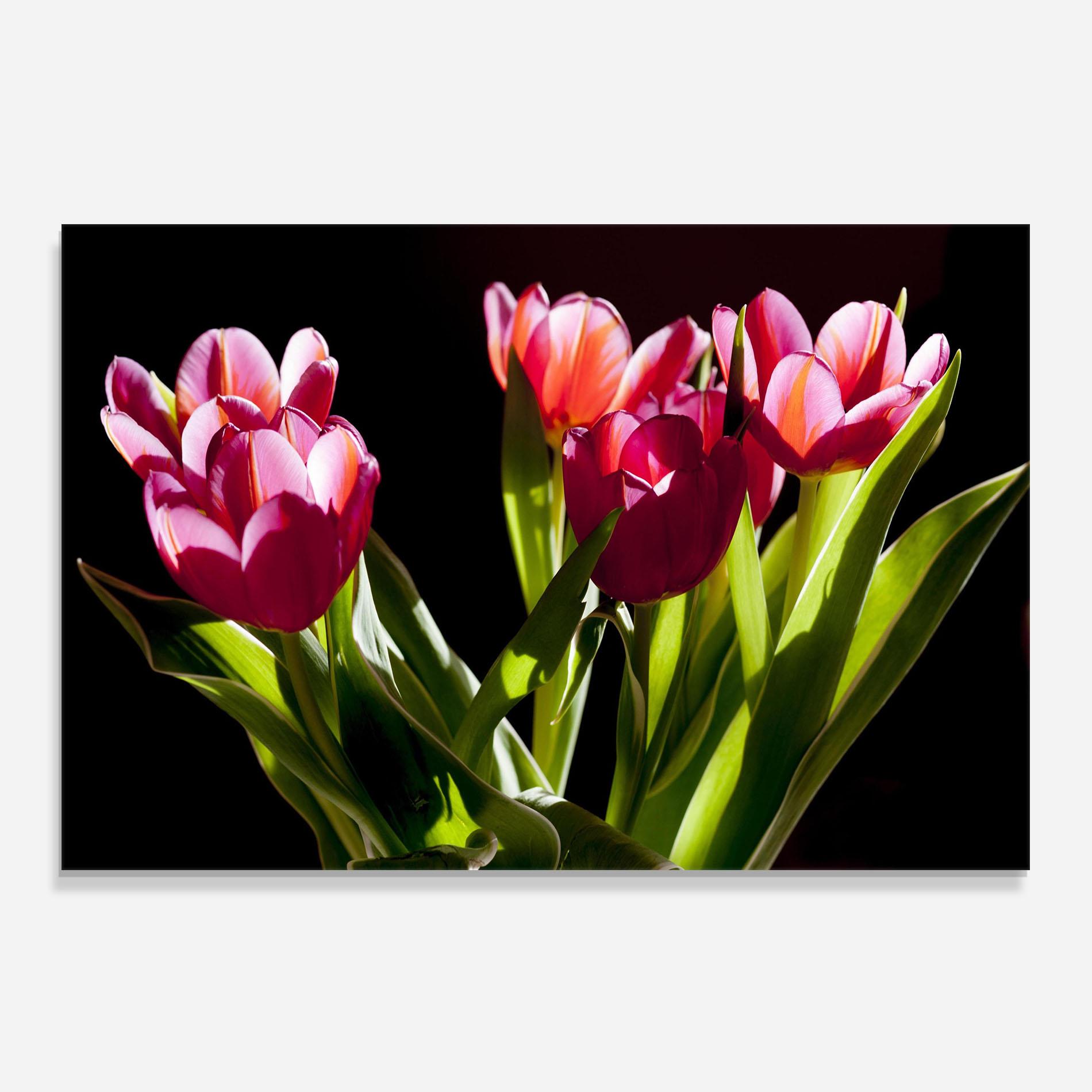 Küchenrückwand Glas Dark Pink Tulips mockup 0
