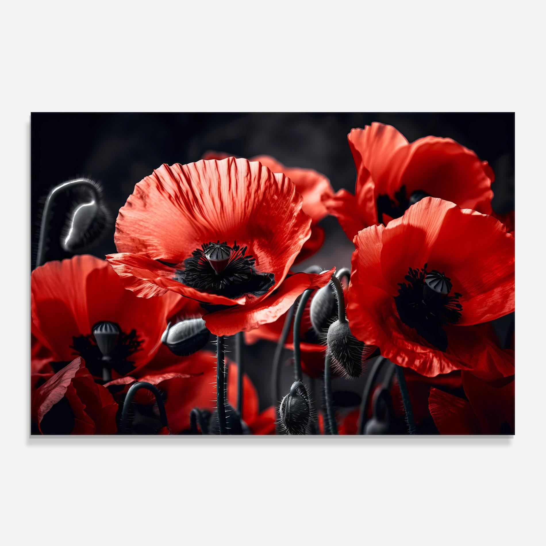 Küchenrückwand Glas Black Red Poppy View mockup 0