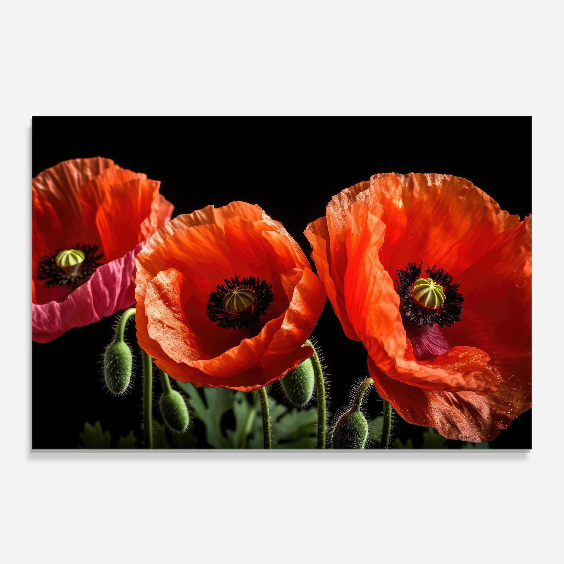 Küchenrückwand Glas Dark Orange Poppies mockup 0