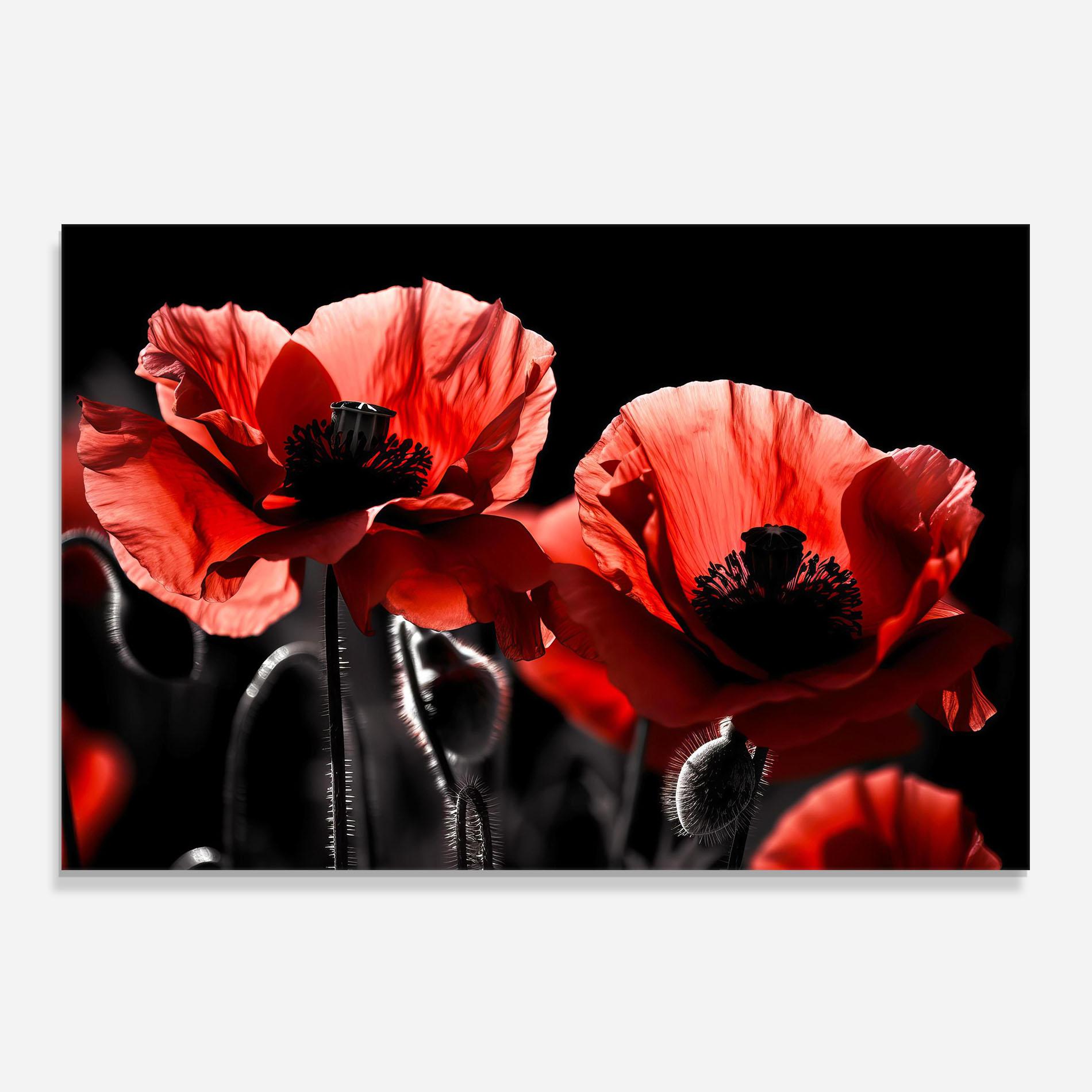Küchenrückwand Glas Light Red Poppy On Black mockup 0