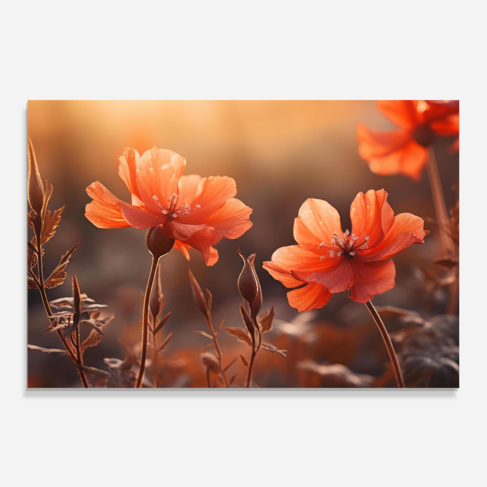 Küchenrückwand Glas Orange Small Poppy mockup 0
