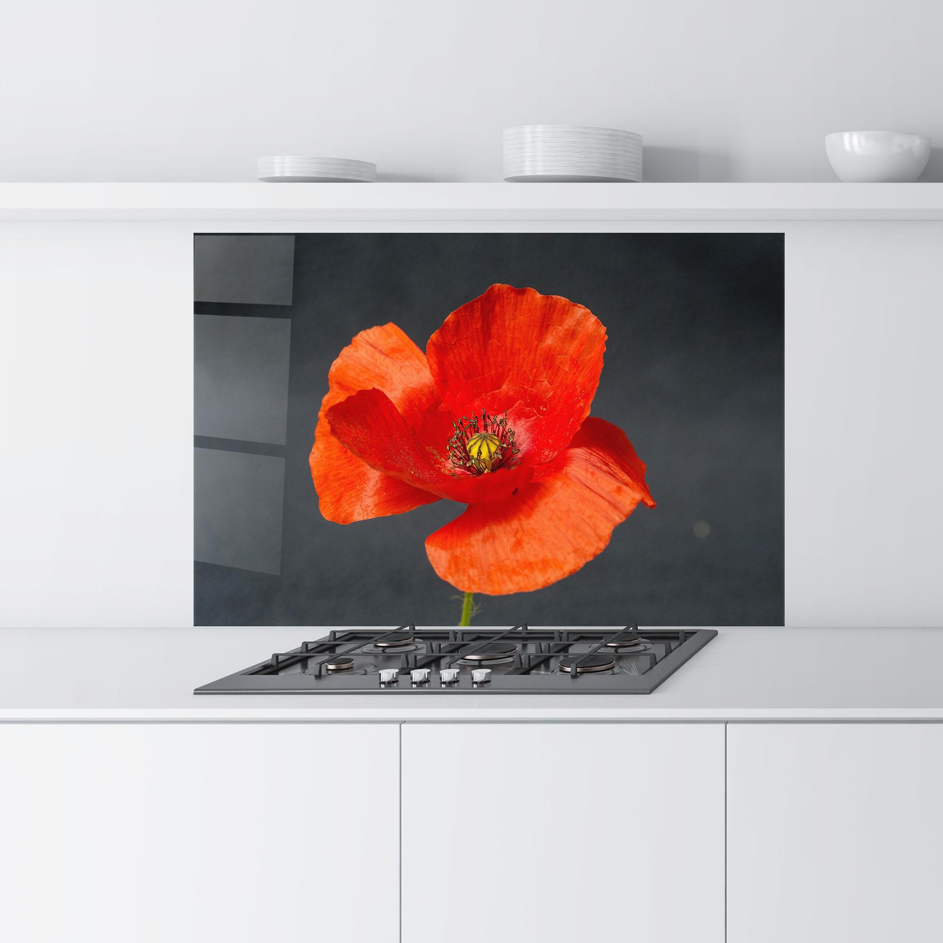 Küchenrückwand Glas Light Red Poppy mockup 9