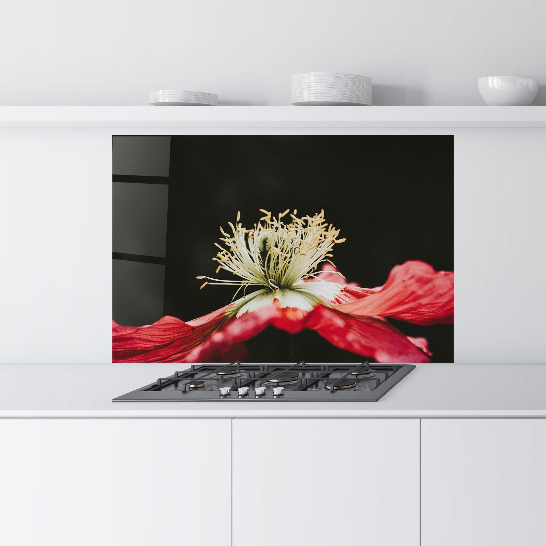 Küchenrückwand Glas Open Poppy Close Up mockup 9